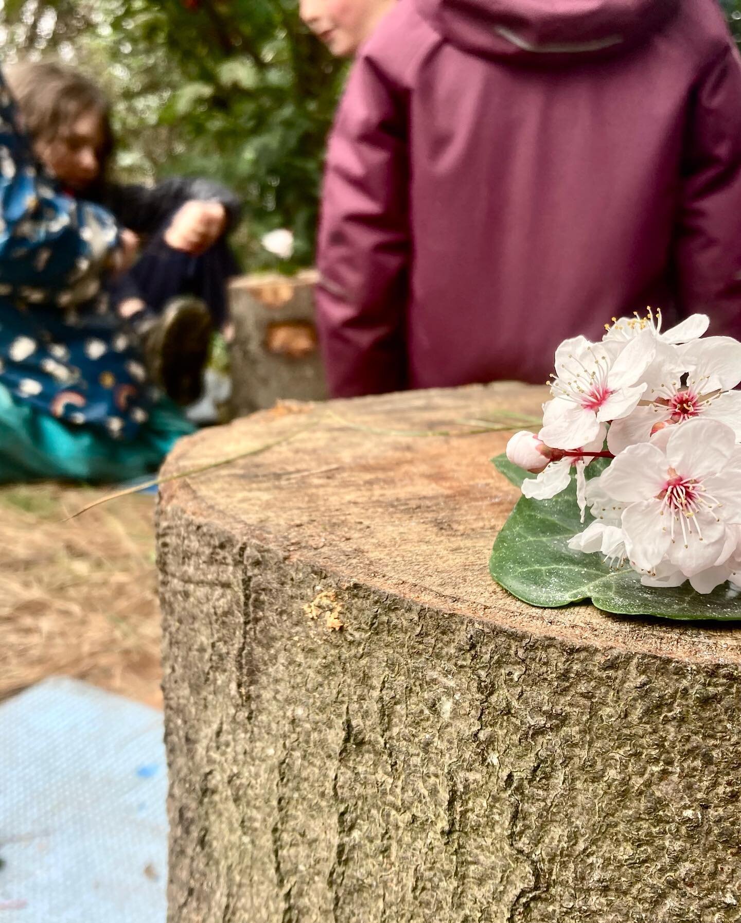 &ldquo;Another adventurous day at The Nest! 🌿 Preparations for the grand reopening of the Wild 🌙 Caf&eacute; are in full swing! From &lsquo;tunneling&rsquo; to skilful pruning, we&rsquo;re getting ready for some exciting times ahead.  The reopening