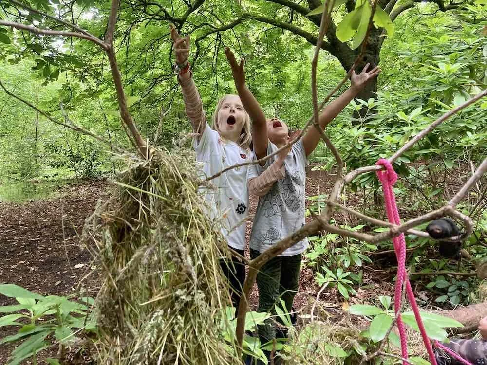 Two children raising their arms in excitement in a lush, green forest, surrounded by trees and plants.