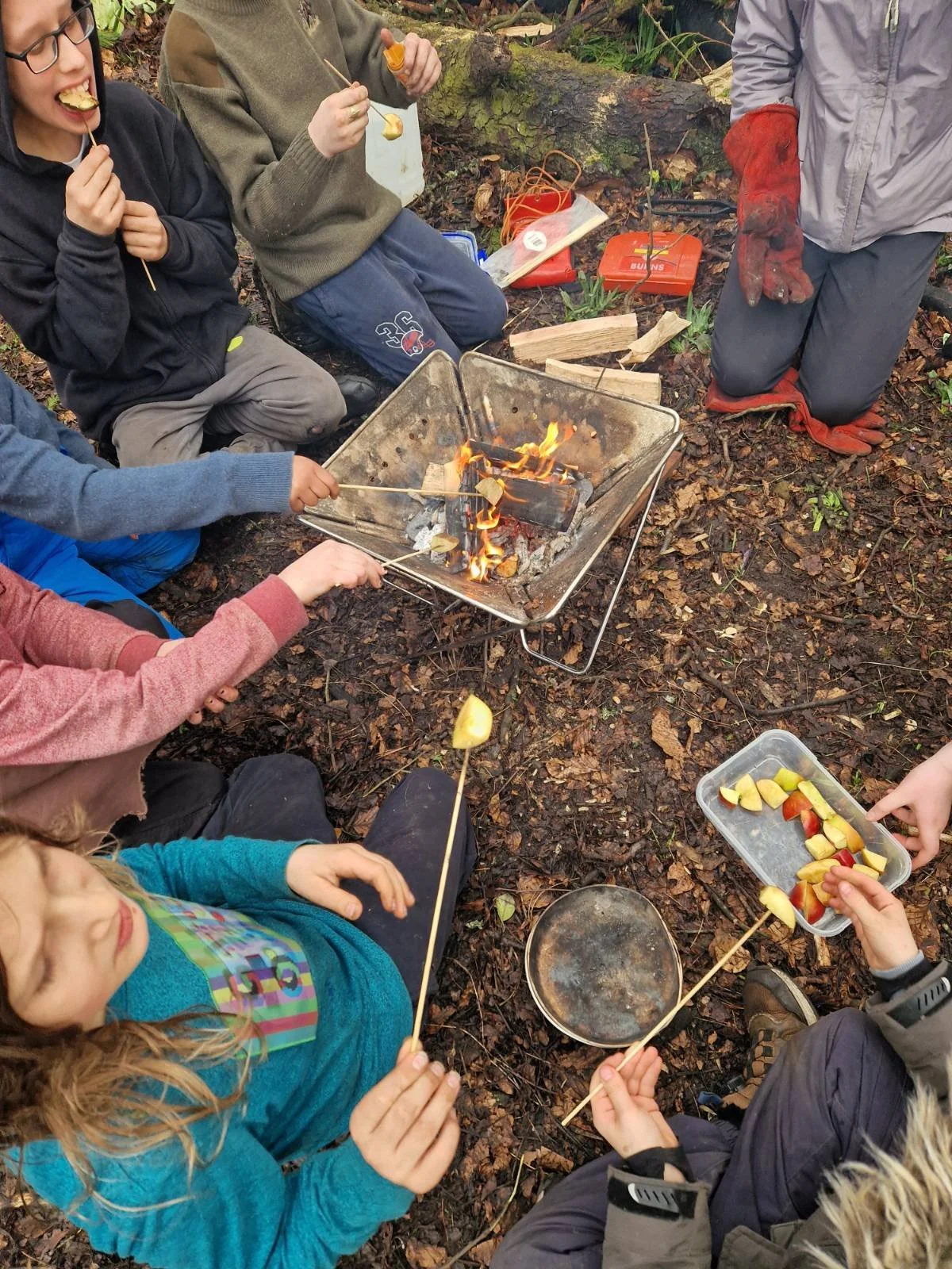 Children roasting marshmallows over a campfire outside on forest ground, with one child holding a tray of cut fruit. An adult wearing gloves supervises nearby.