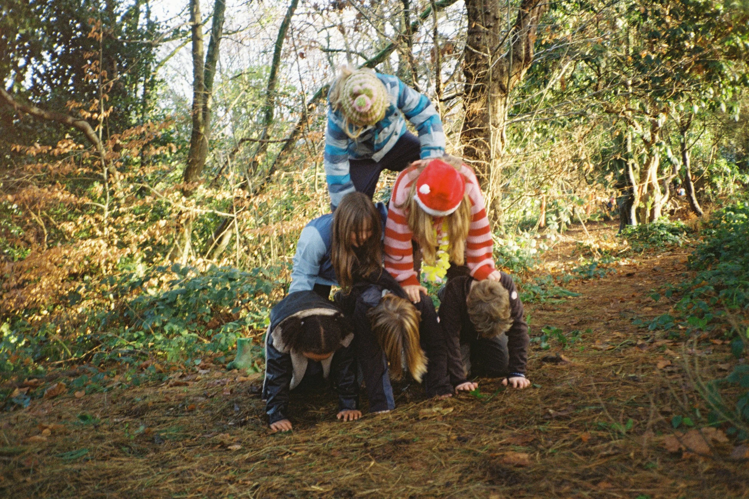 6 children form a pyramid in the woods