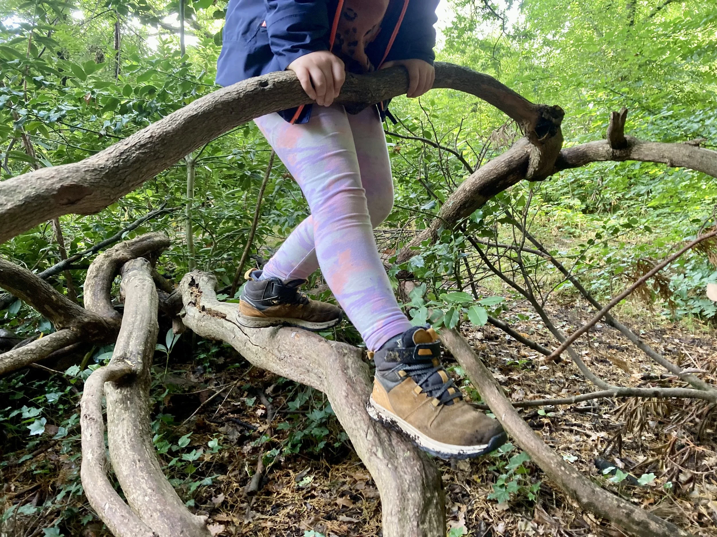 Child wearing colorful leggings, brown boots, and a dark jacket climbing over a tangled tree branch in a dense green forest.