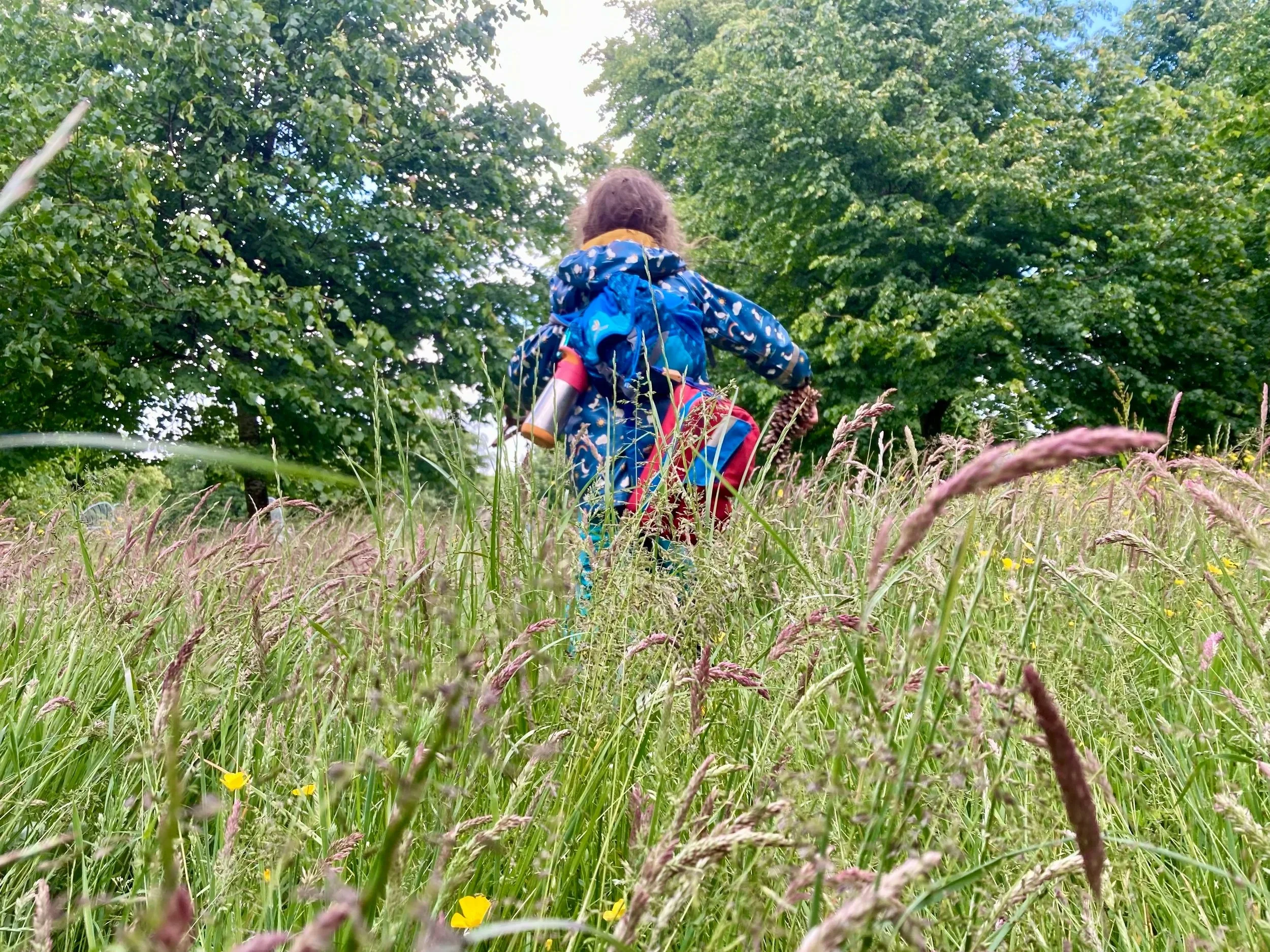 Child in blue jacket with a backpack walking through tall grass in a park with trees in the background.
