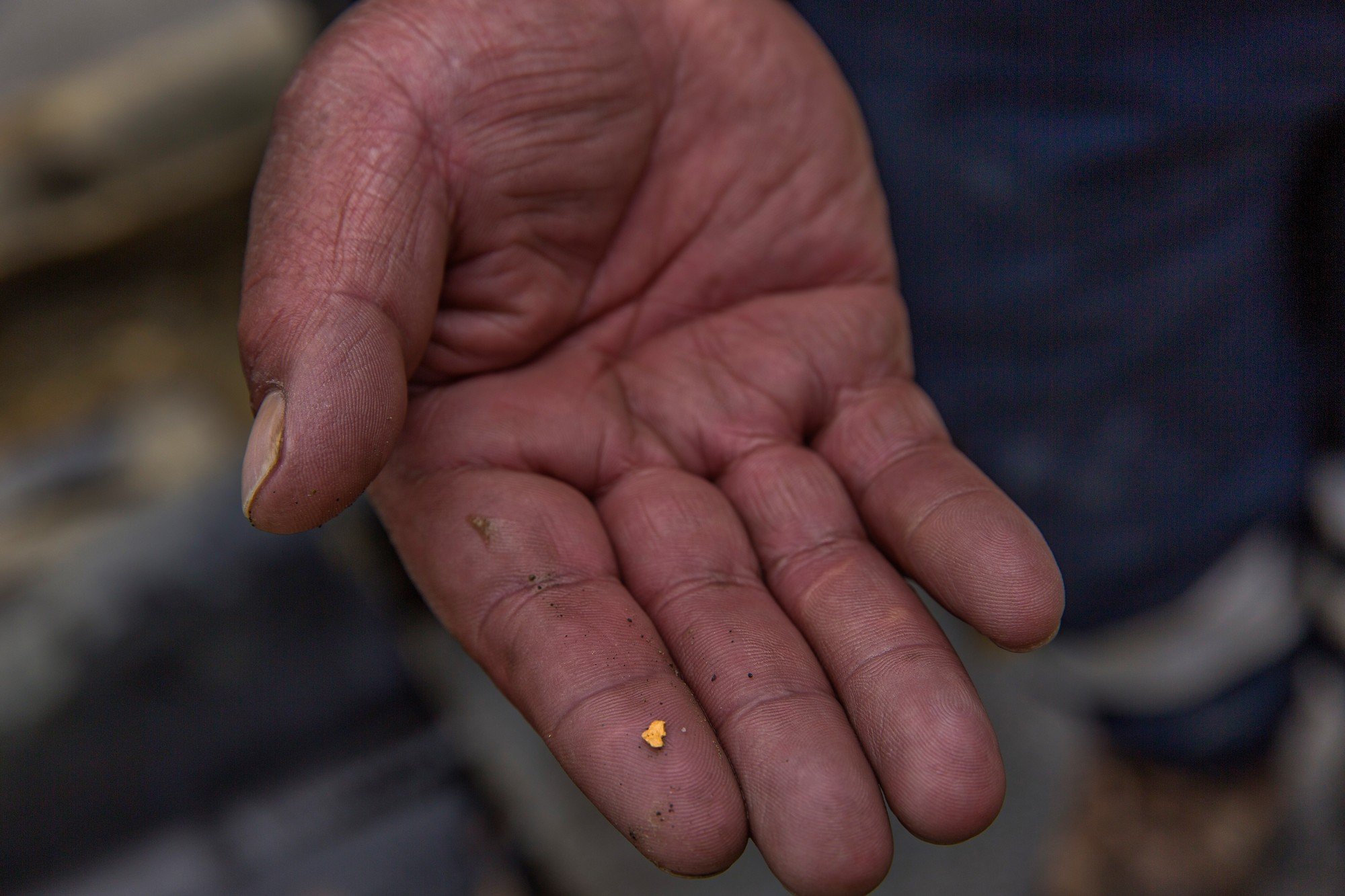 A worker shows a small piece of gold, Peru. Photo credit: Eduardo Martino