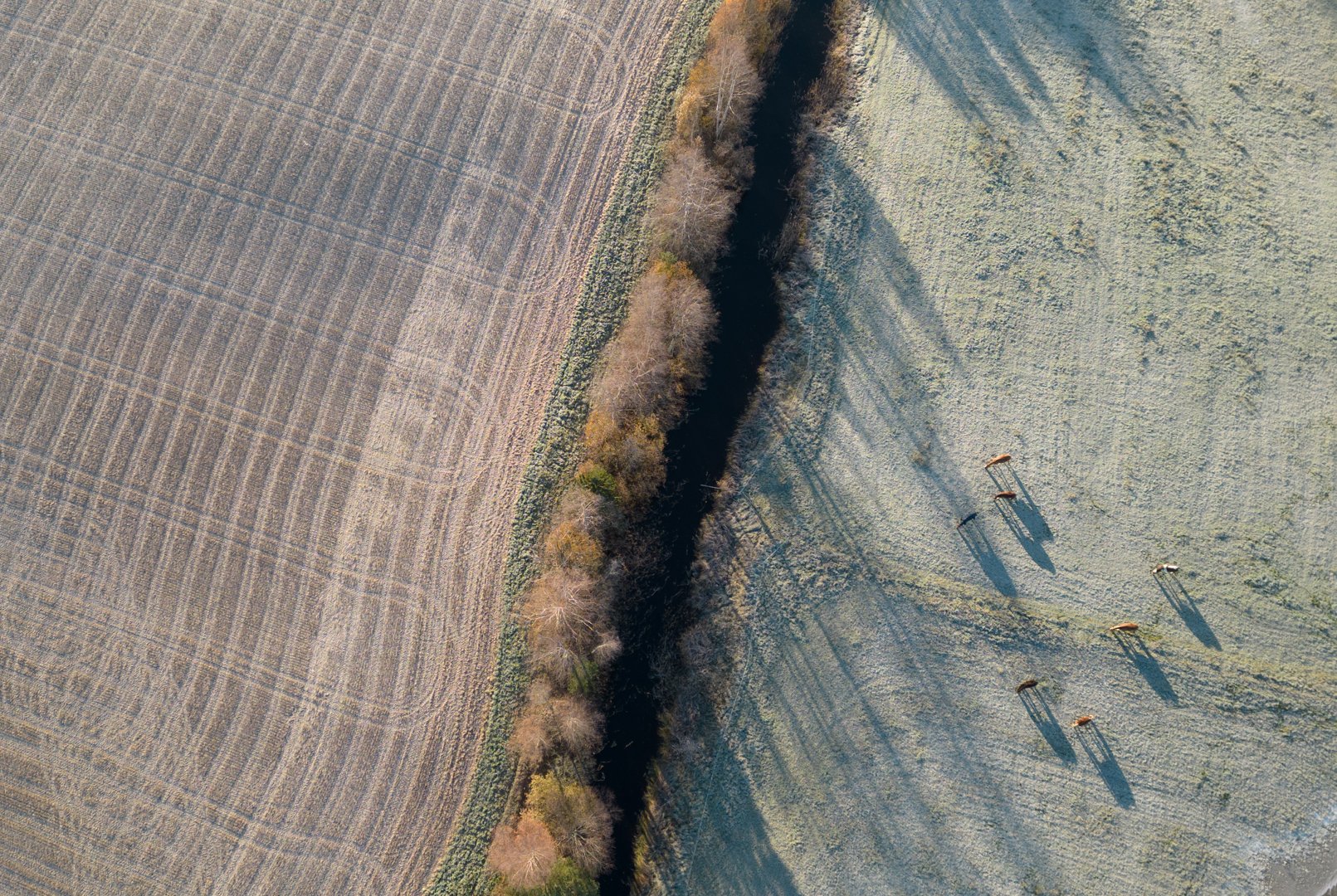 DJI_0884 .jpg