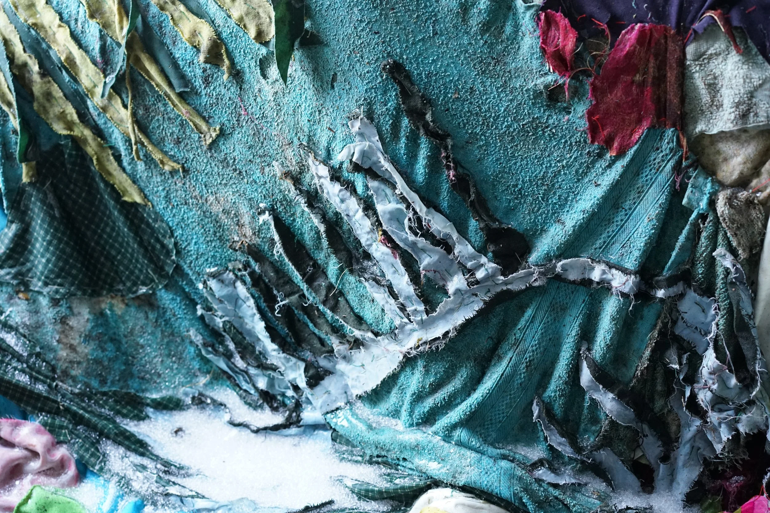 Palm Frond, photo series Thaw, 2026