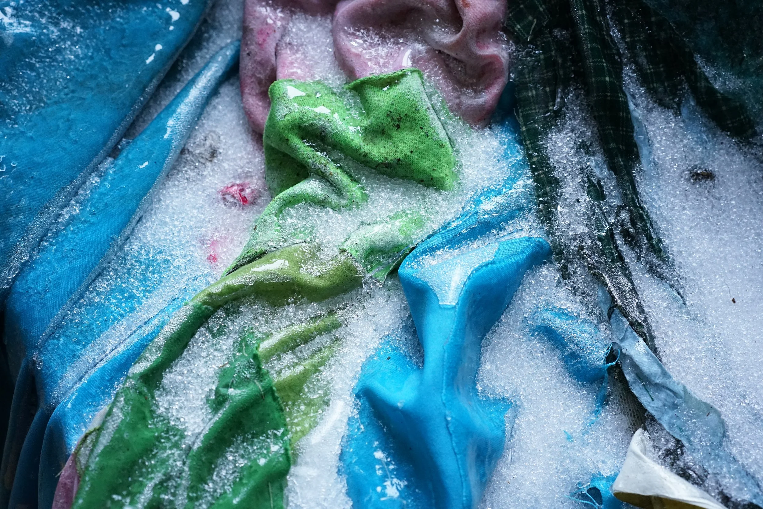 Flora, photo series Thaw, 2026