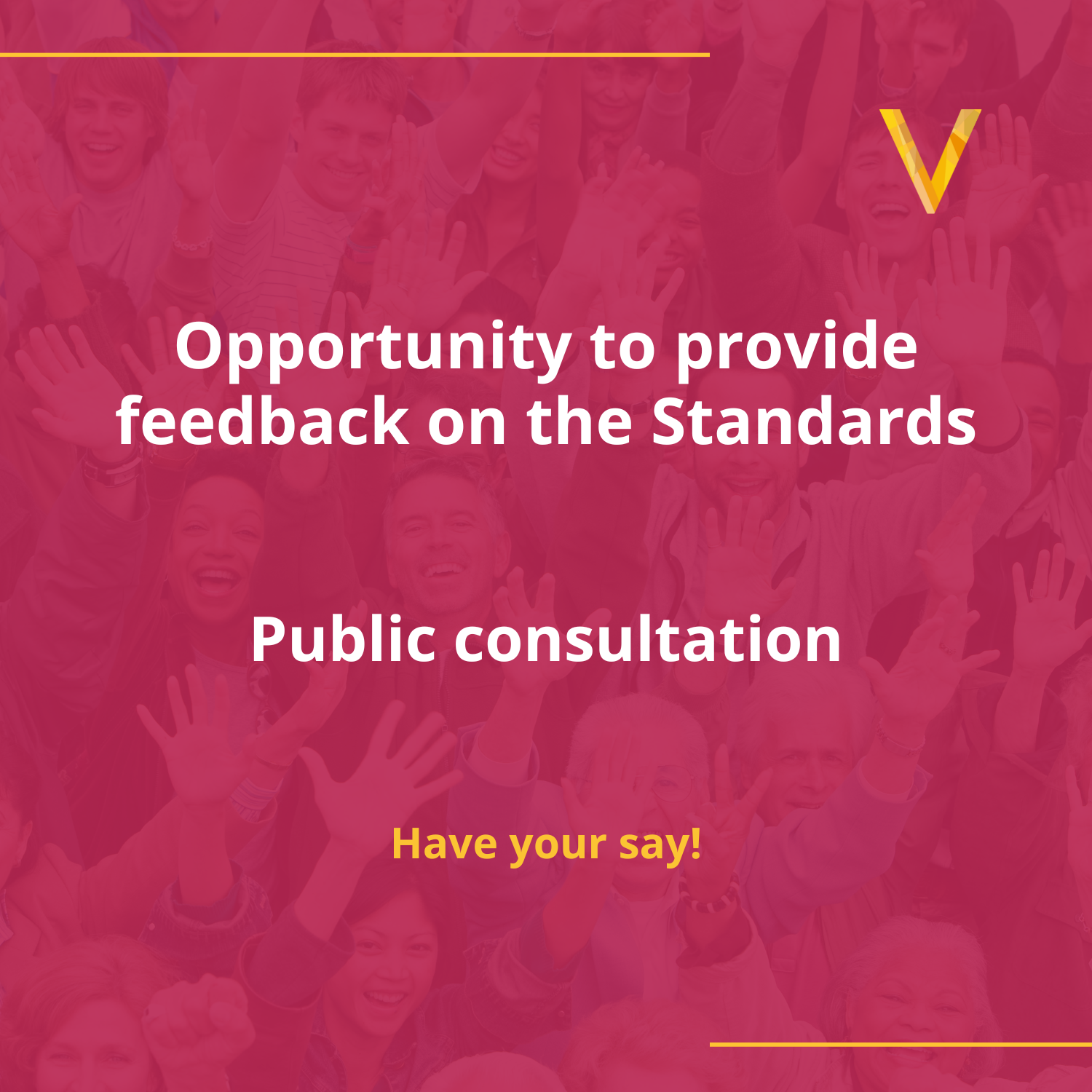 SVI Standards public consultation