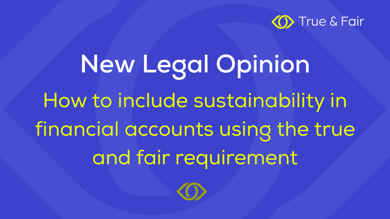 New legal opinion on true and fair shows company directors how to include sustainability in financial accounts 