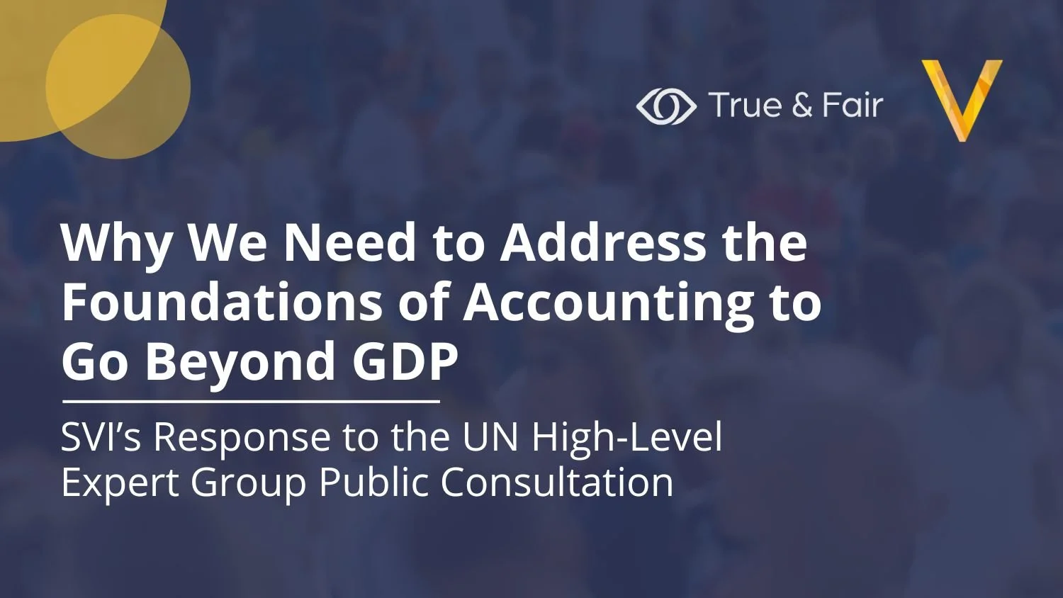 Why We Need to Address the Foundations of Accounting to Go Beyond GDP: SVI’s Response to the UN High-Level Expert Group Public Consultation