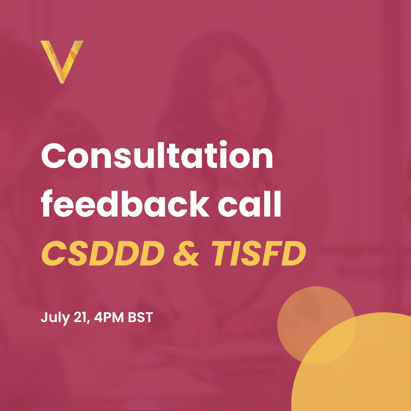 Consultation feedback call — CSDDD &amp; TISFD