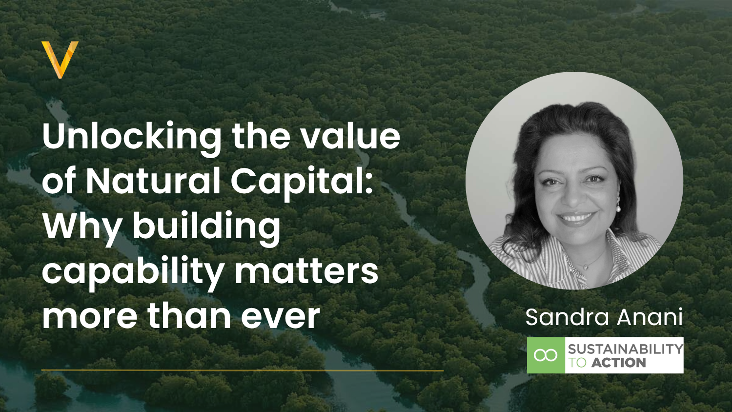 Unlocking the value of Natural Capital: Why building capability matters more than ever