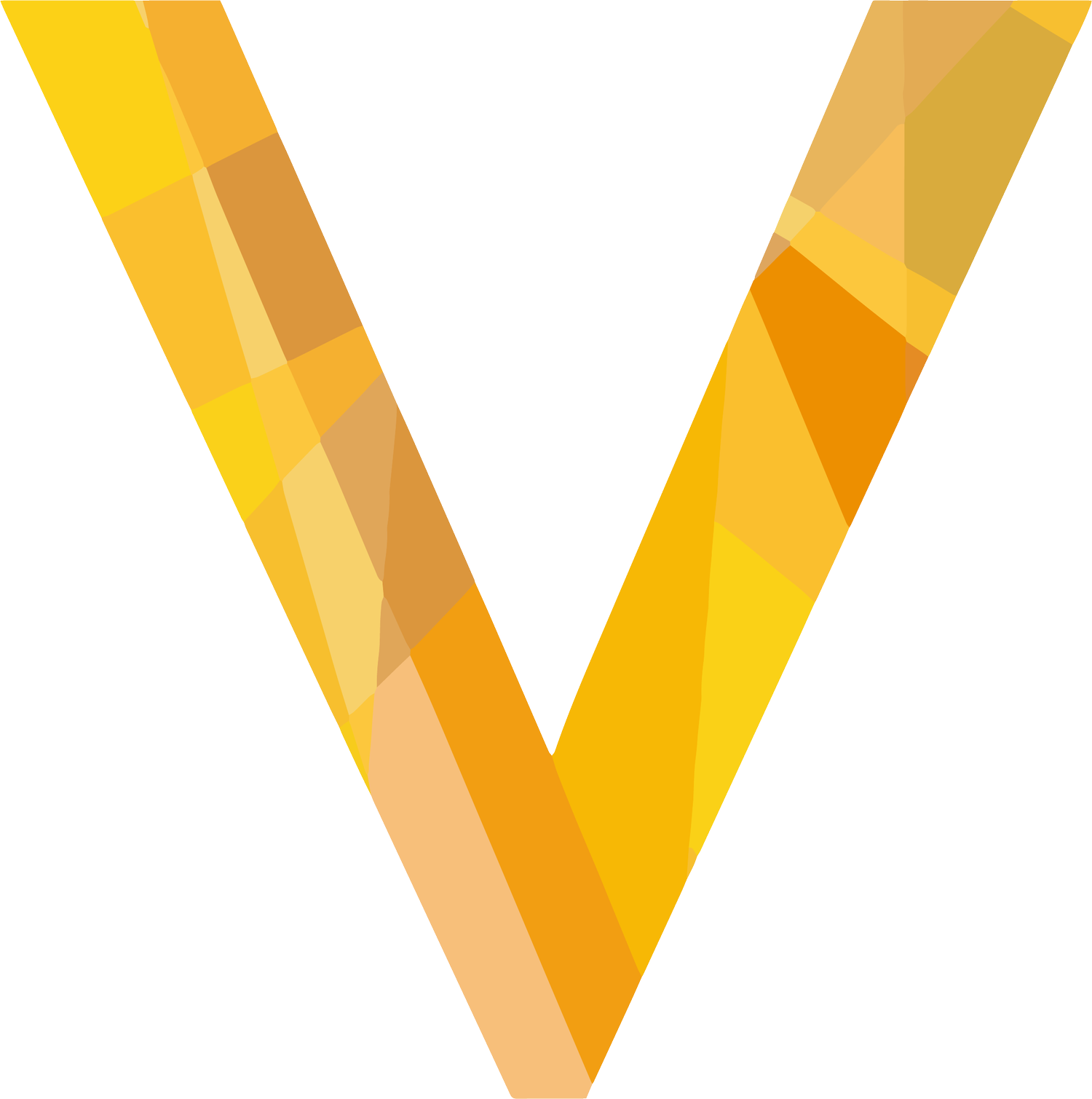 Social Value International