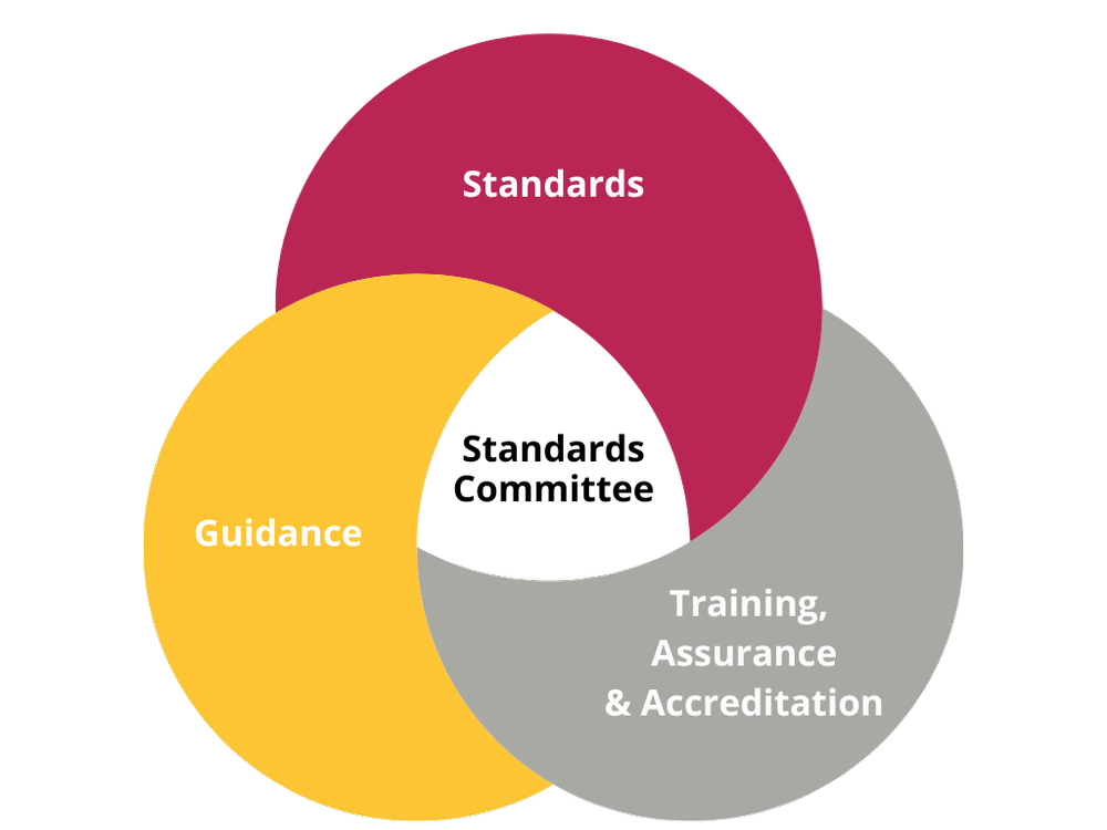 SVI Standards Committee — Social Value International