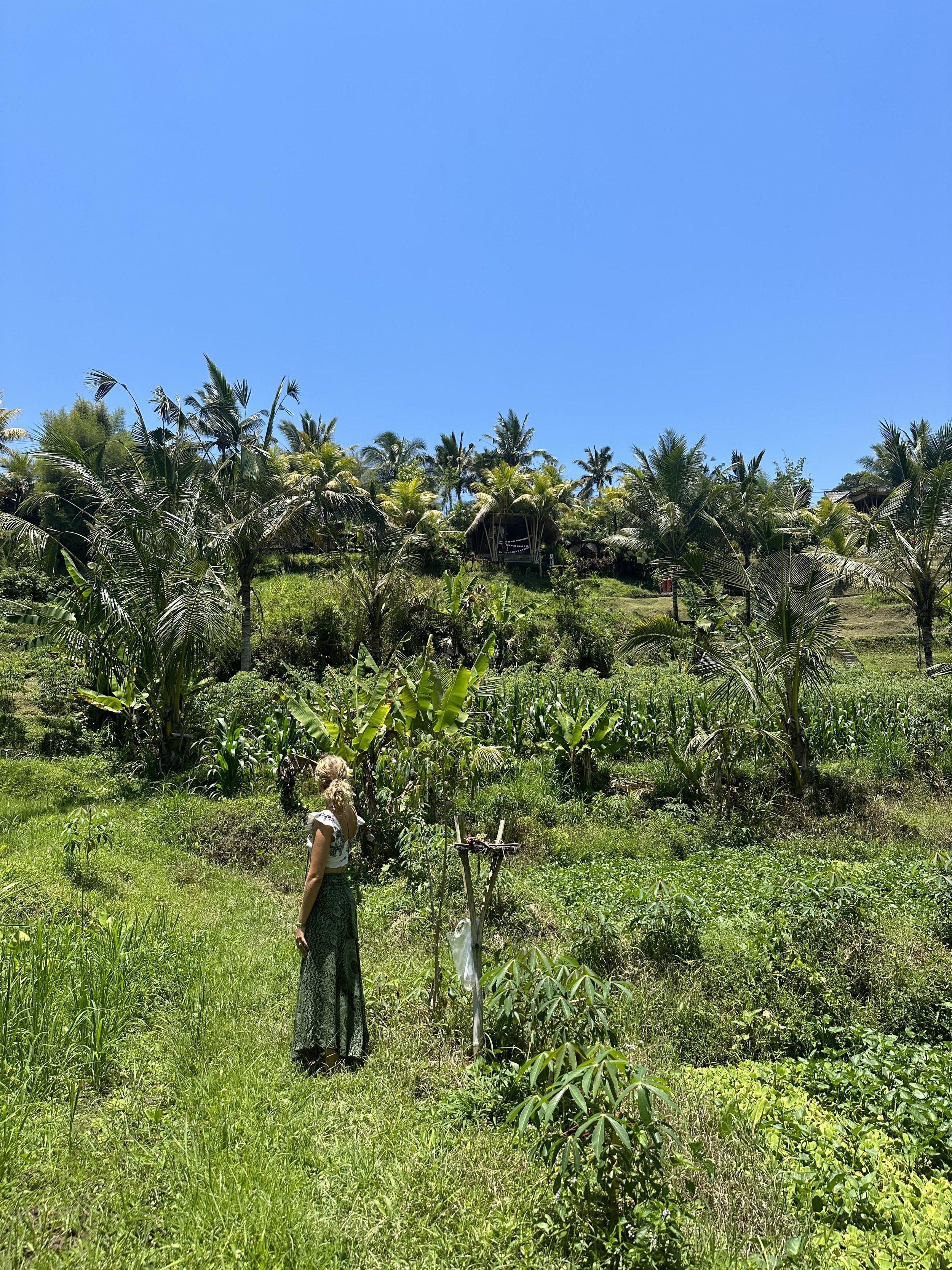 ubud.jpg