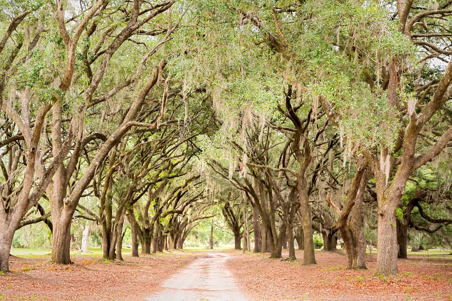 Eden at Gracefield Pricing — Eden at Gracefield