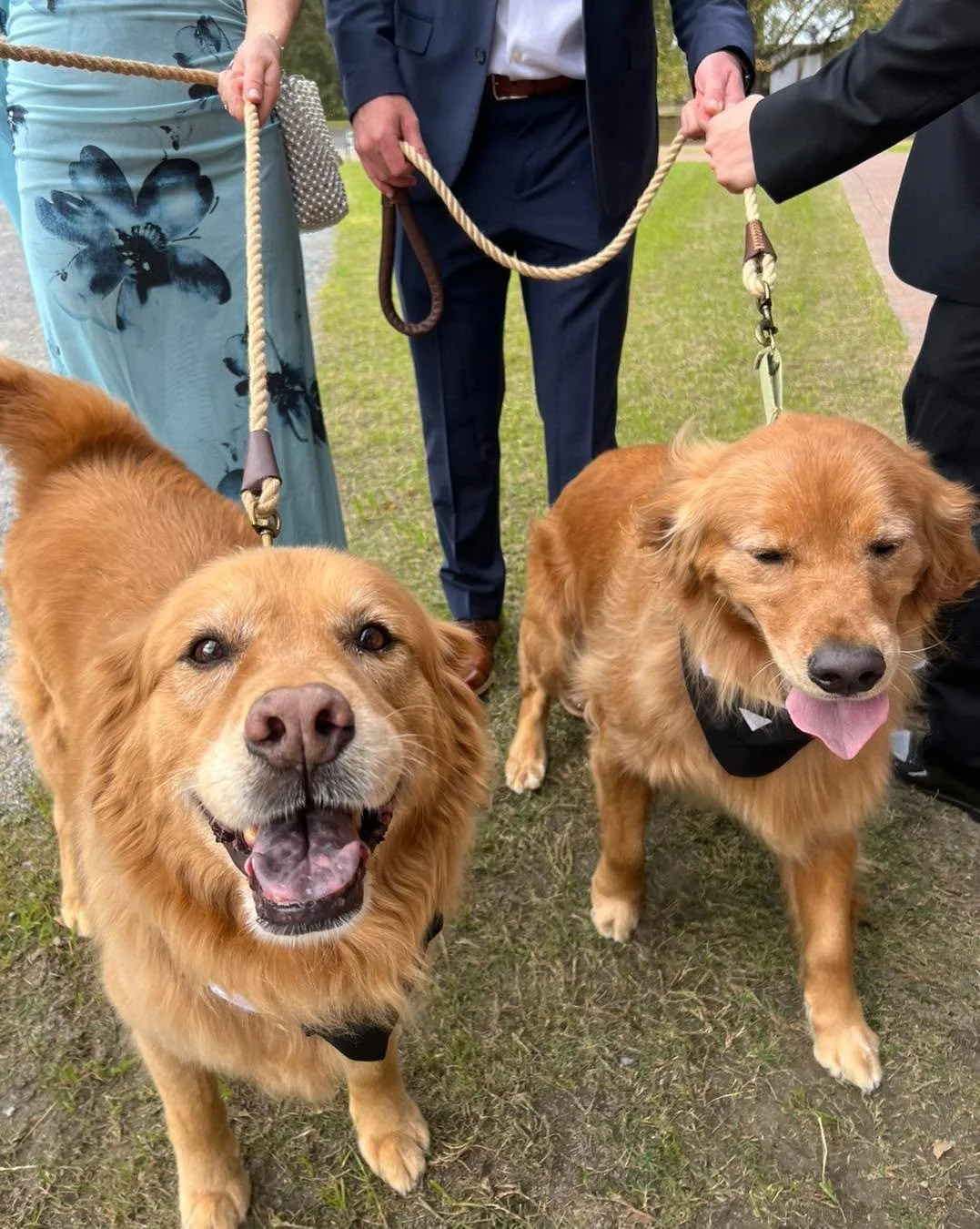 Charlie & Murphy Proveaux’s