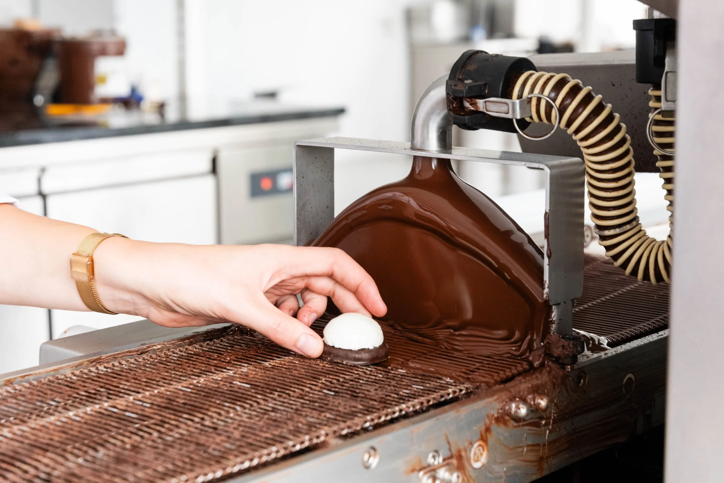 DSC_3270.jpg