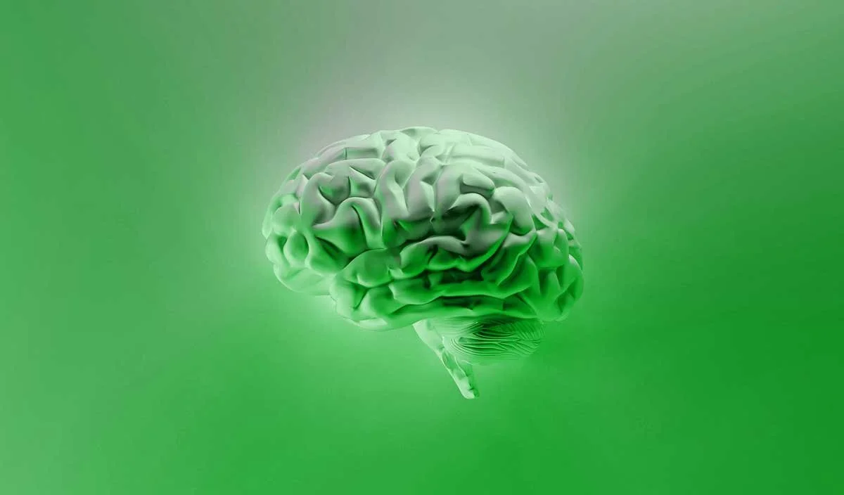 What Consistent Training Does to Your Mind 