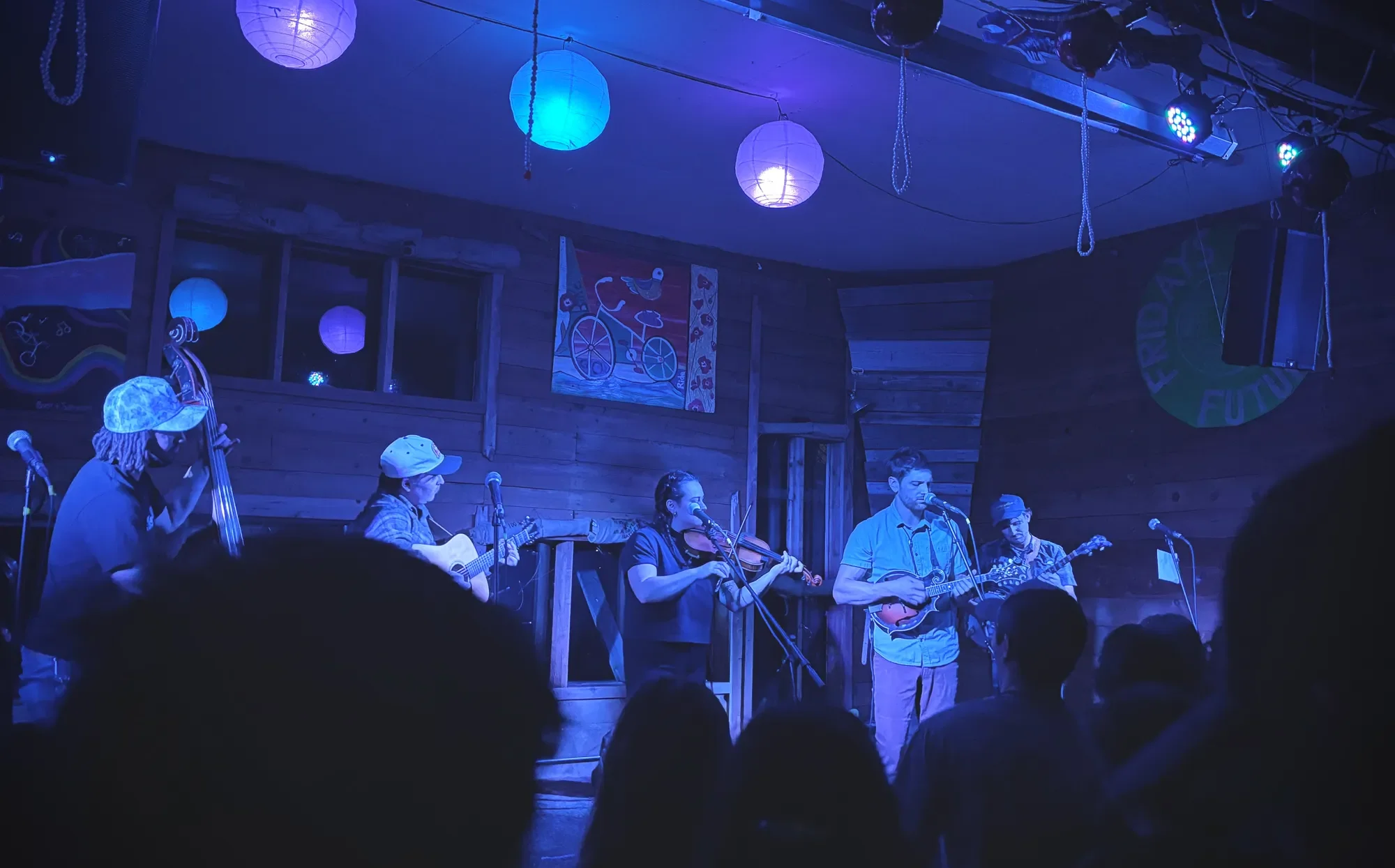 Bluepoint Bluegrass