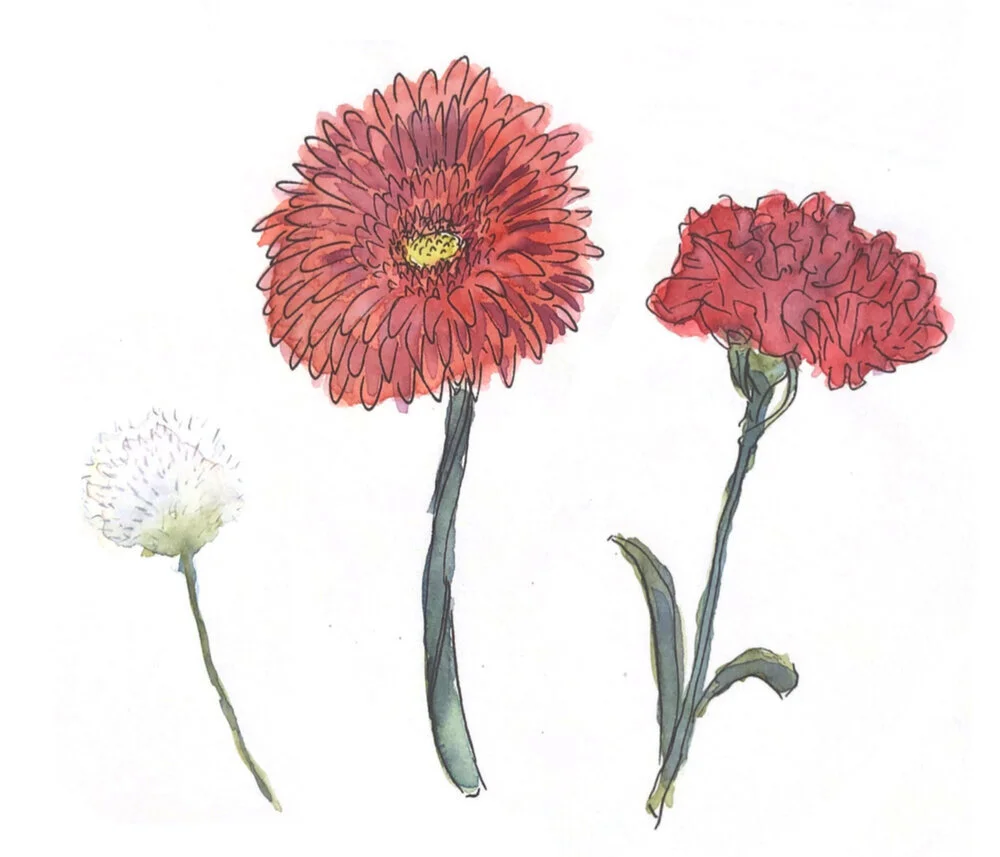 redflowers.jpg