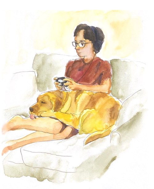 dog.png