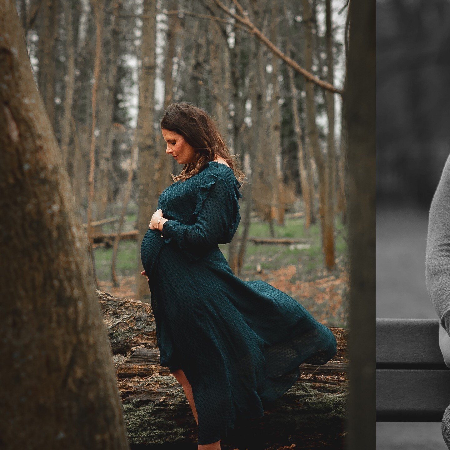 A beautiful maternity photoshoot with Thalita and her family at Crabtree Plantation in Basingstoke

#maternityshoot #familyshoot #crabtreeplantation #basingstoke