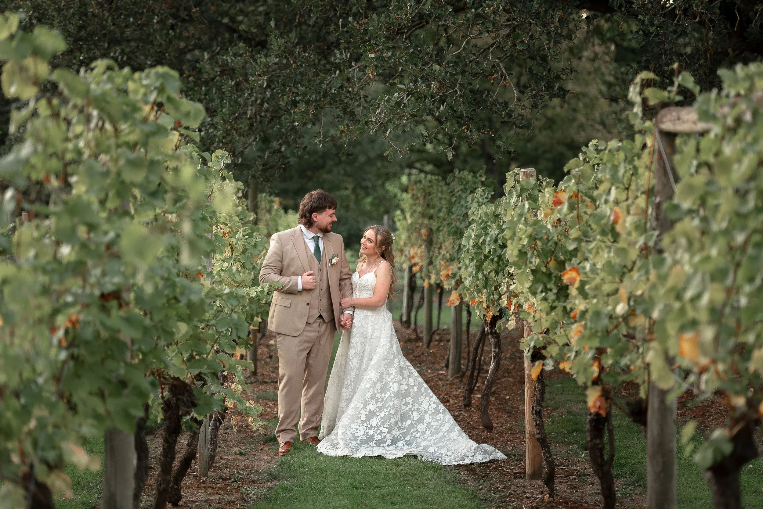 A bride and groom holding hands and smiling at each other in a vineyard, surrounded by rows of grapevines and green foliage.
