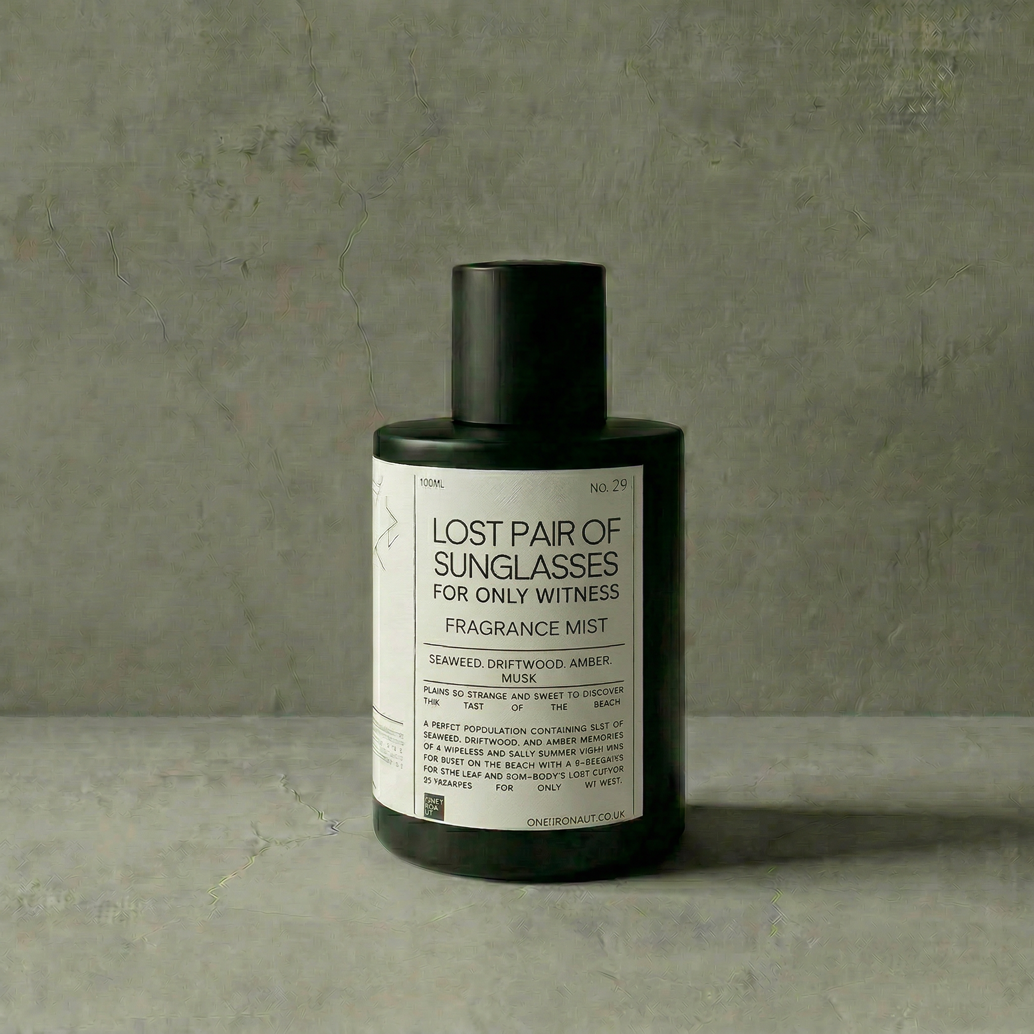 LOST PAIR OF SUNGLASSES no29 mist