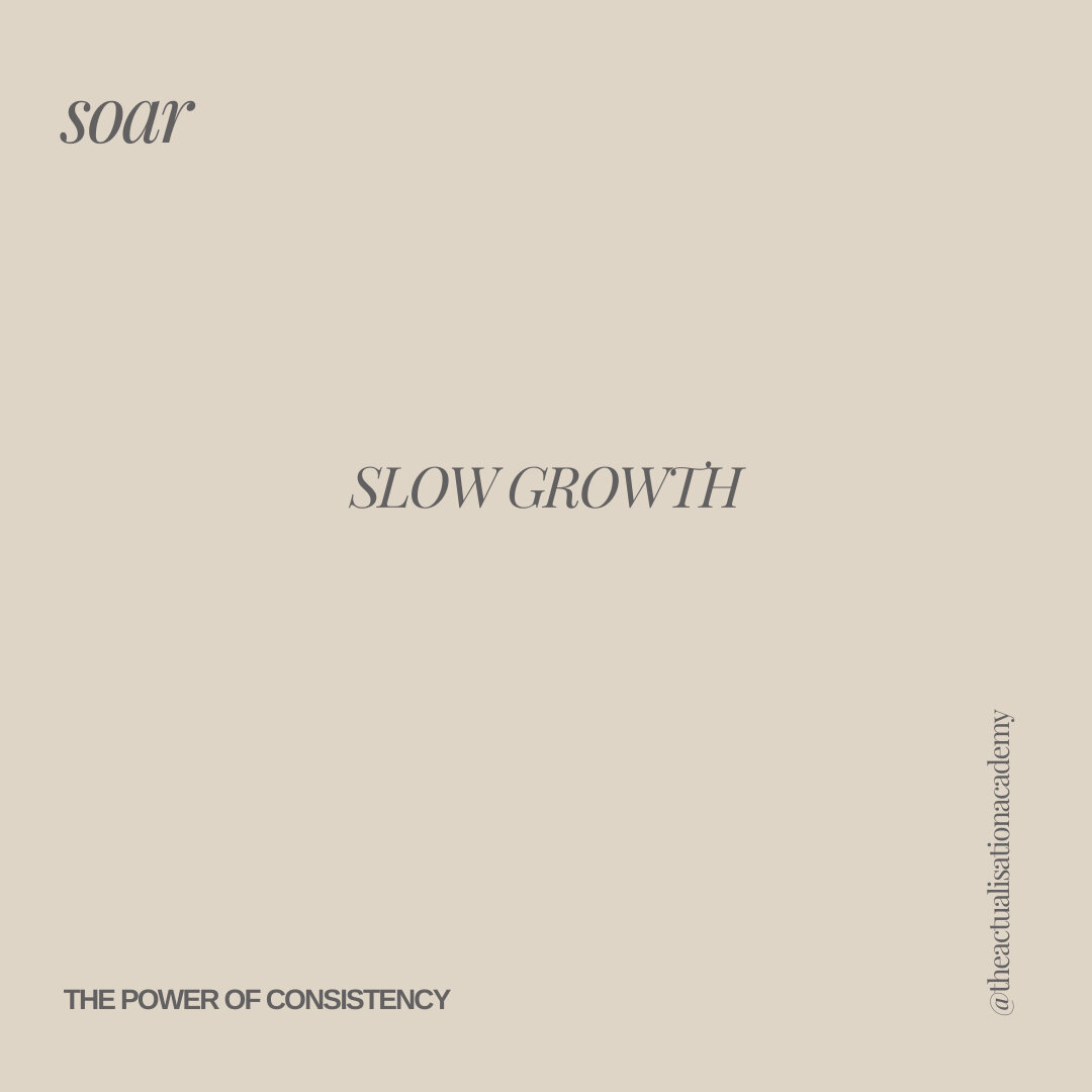 Slow growth is the most sustainable kind. ​​​​​​​​​
When you focus on consistent, incremental progress, you build a foundation that can stand the test of time. The 
Power of Consistency is what makes slow growth so effective. 

Instead of trying to a