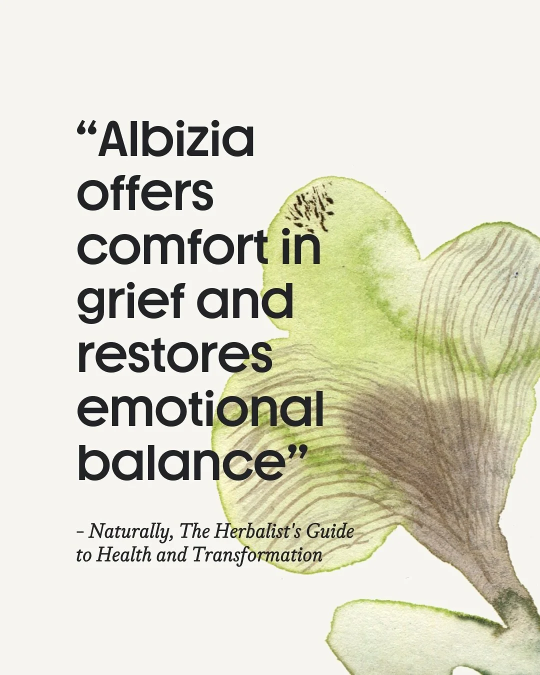 “If happiness is a spectrum, with serenity on one side and euphoria on the other, the herb Albizia stretches across its entirety. From trickling in calmness and sparking bright relief from depression, PTSD, and grief, Albizia is an uncommon ant