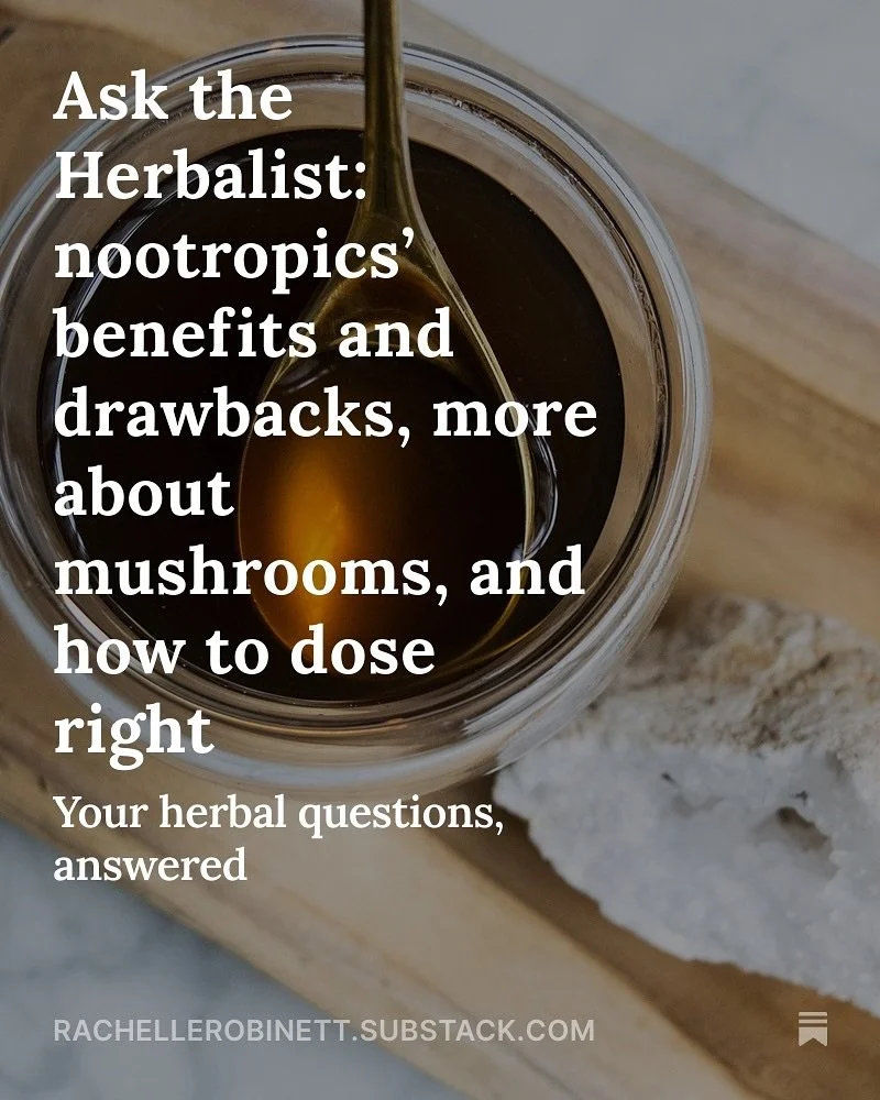 Ask the Herbalist: Lion’s Mane:
Q: “I actually loved the way cordyceps and lion’s mane makes me feel, I felt energized and super focused. But taking it everyday made me feel almost too focused and too energized to the point I couldn