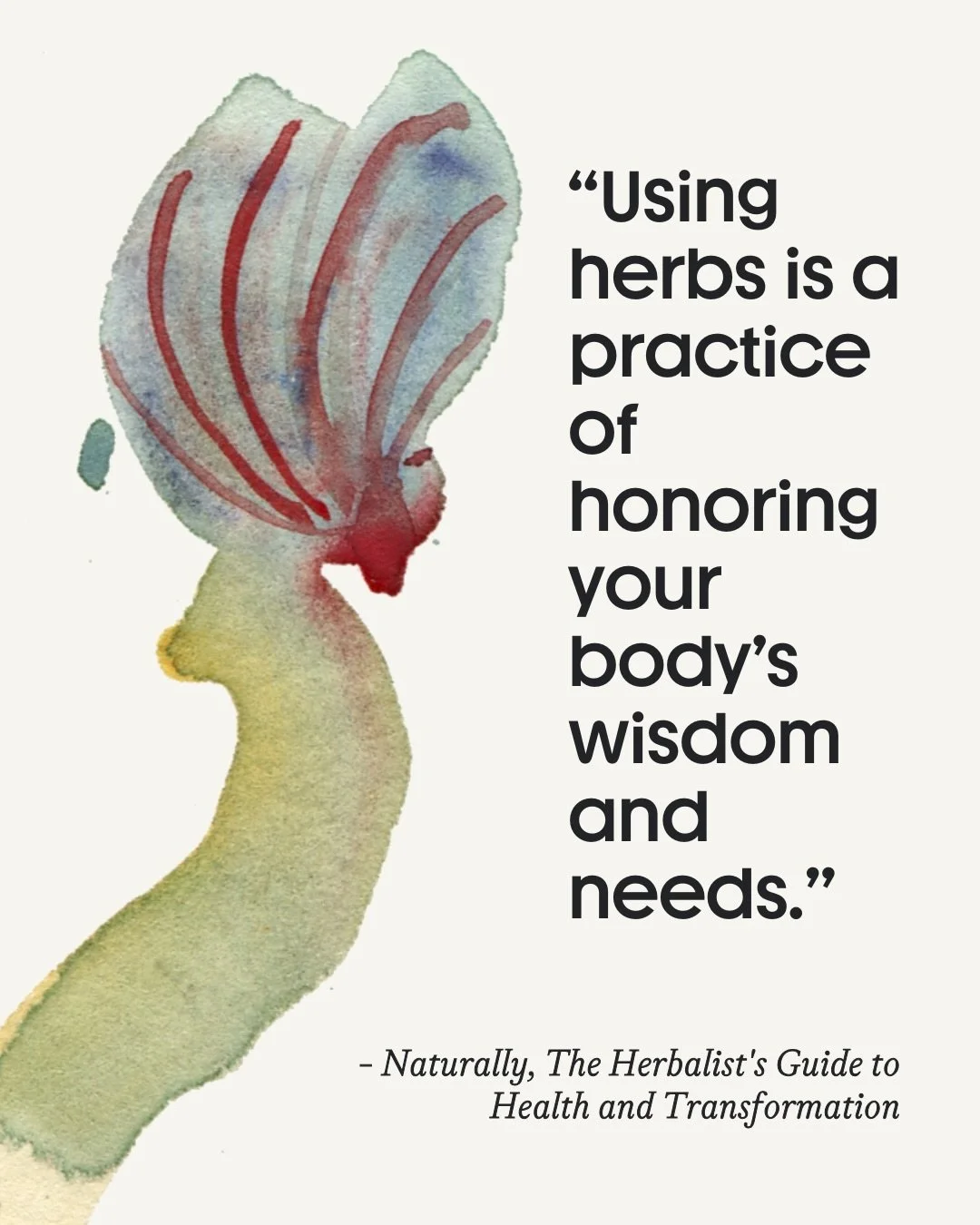 &ldquo;Herbalism generally aims to support the body&rsquo;s innate healing capacities, we typically want to use the gentlest effective solution first.&rdquo; &mdash; Naturally, The Herbalist&rsquo;s Guide to Health and Transformation

Learn more in N