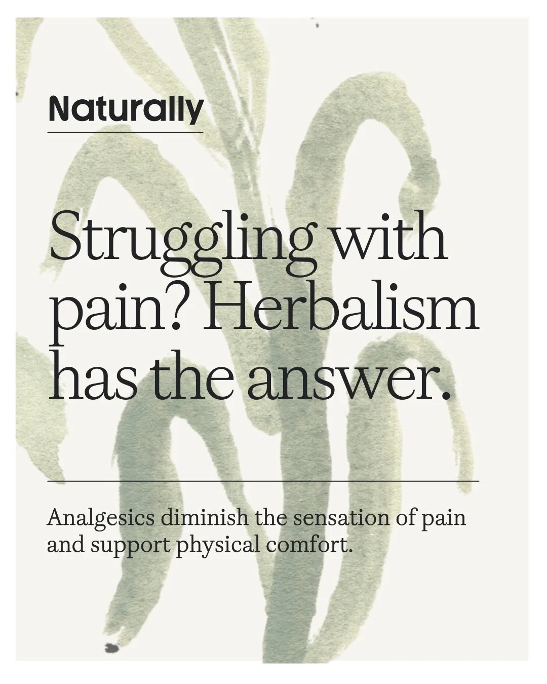 &ldquo;In herbalism, willow bark is used as an analgesic and anti- inflammatory, especially for musculoskeletal pain. It can be consumed as an herbal aspirin substitute in all cases where one would use that drug, and while willow bark is a bit milder