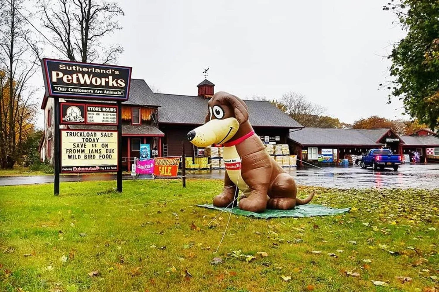 Sutherland's PetWorks Pet Supplies Hudson Falls Adirondacks