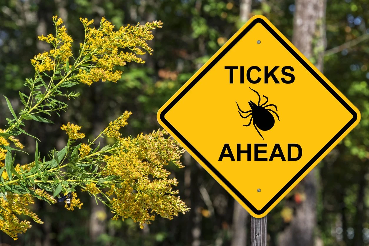 Think Tick Season Is Almost Over? Think Again