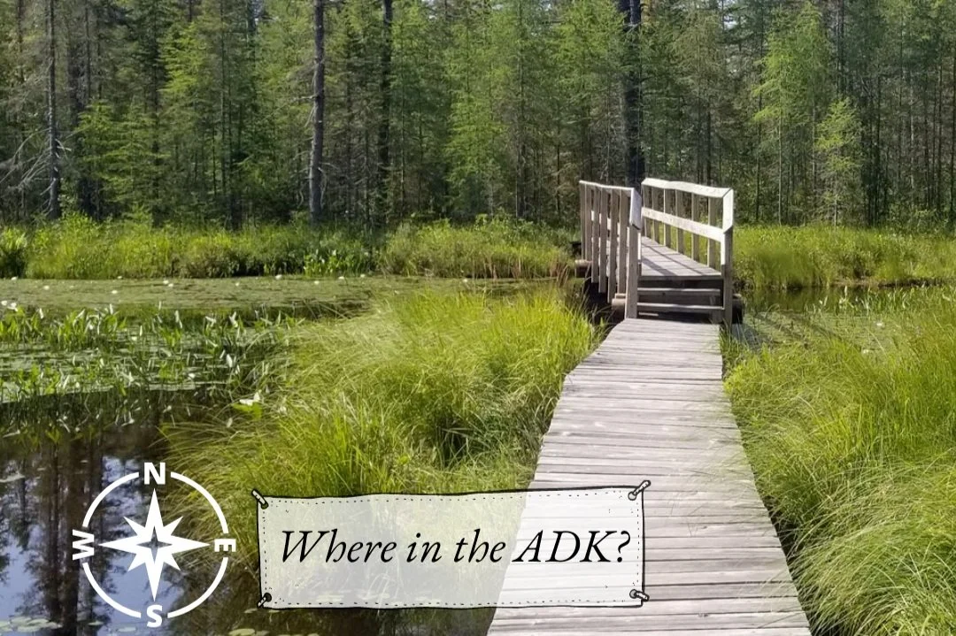 Where in the ADK Wednesday: Massawepie Trail