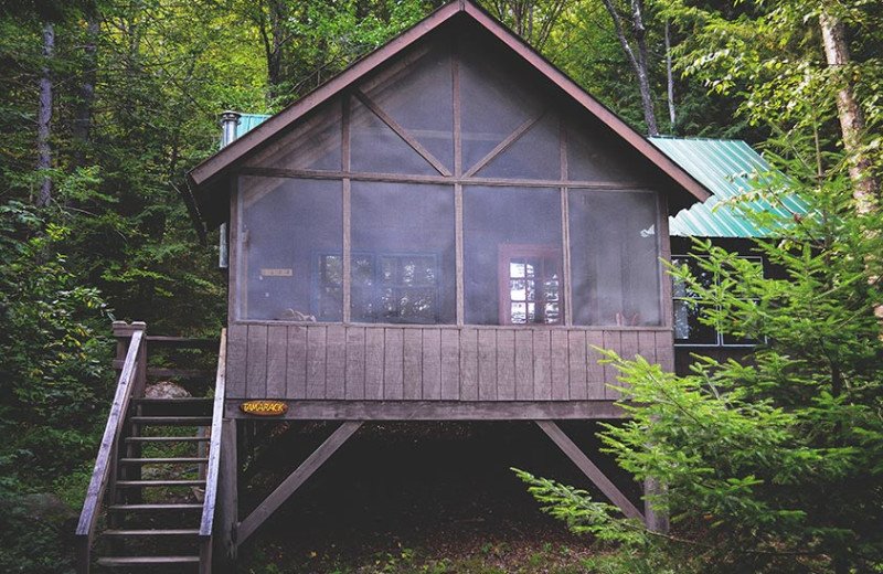 stay-cabins-central-adirondacks-indian-lake-timberlock-cabin2.jpeg