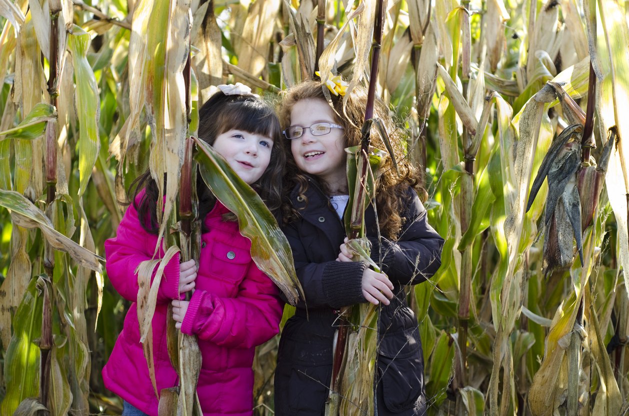 Corn Maze Girls.jpg