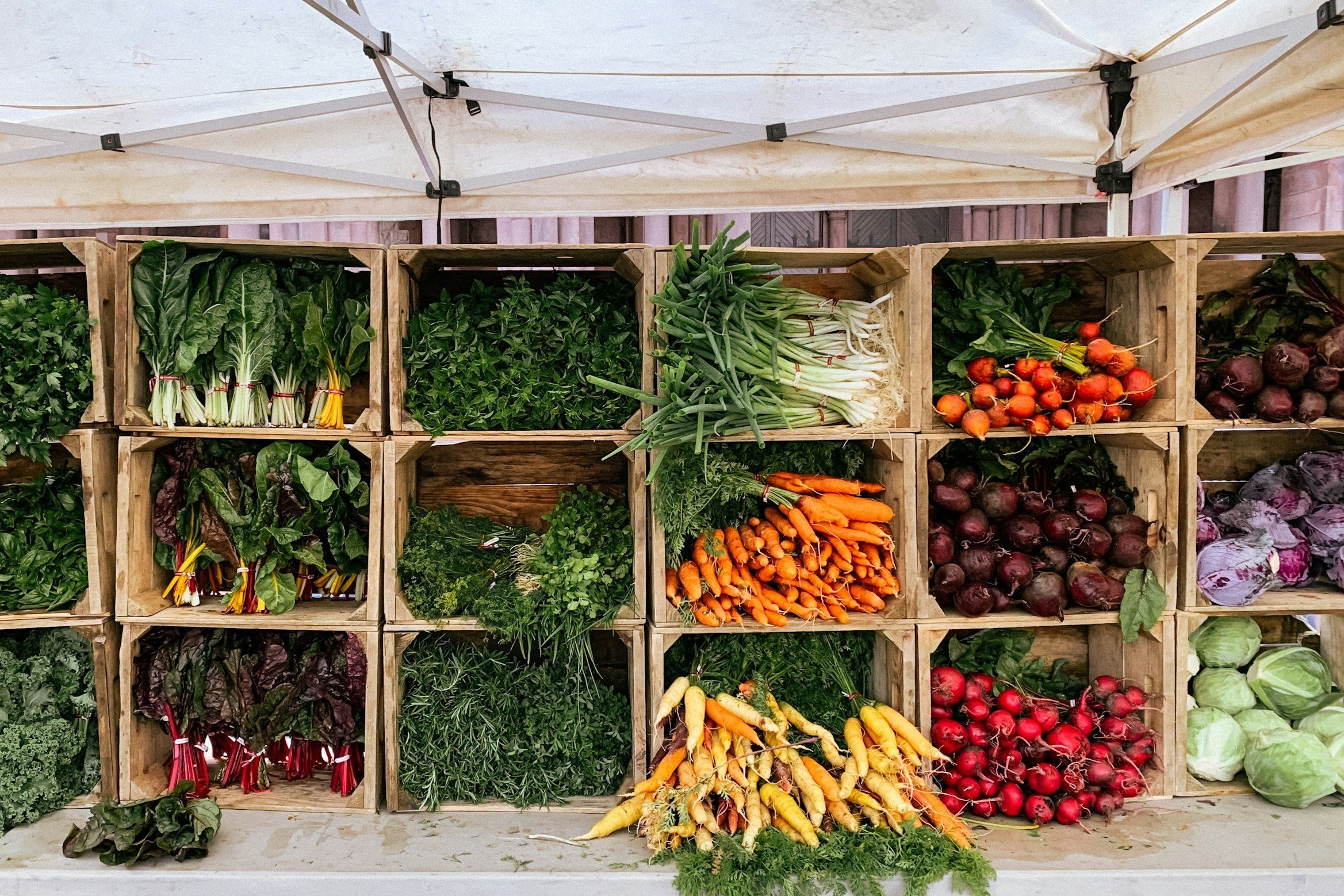 Discovering the Adirondack Tablescape: 2025 Farmers Markets in the Park