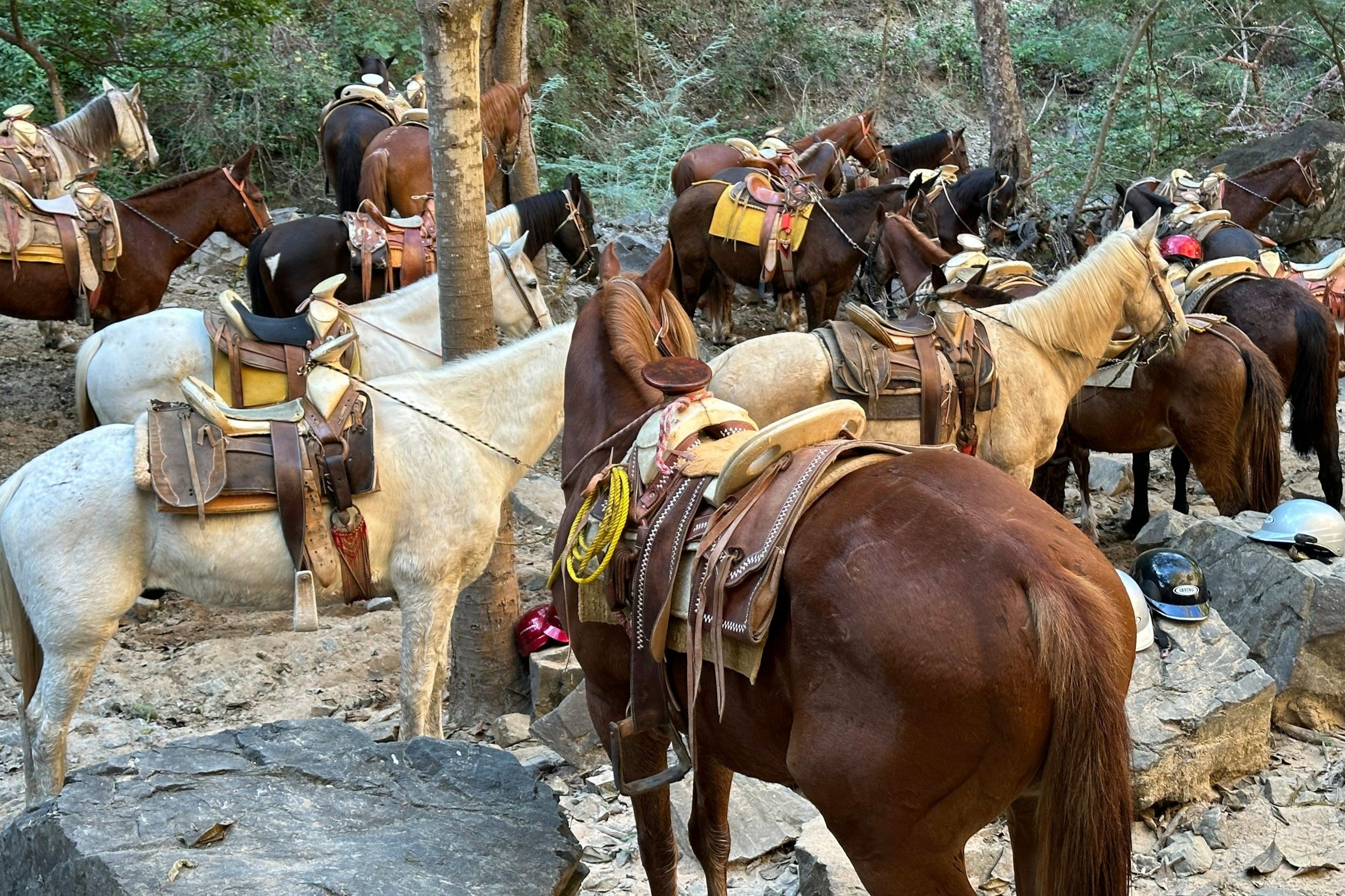 Saddle Up in the Adirondacks: Ridin’ Hy Ranch Near Lake George Has It All—Year-Round