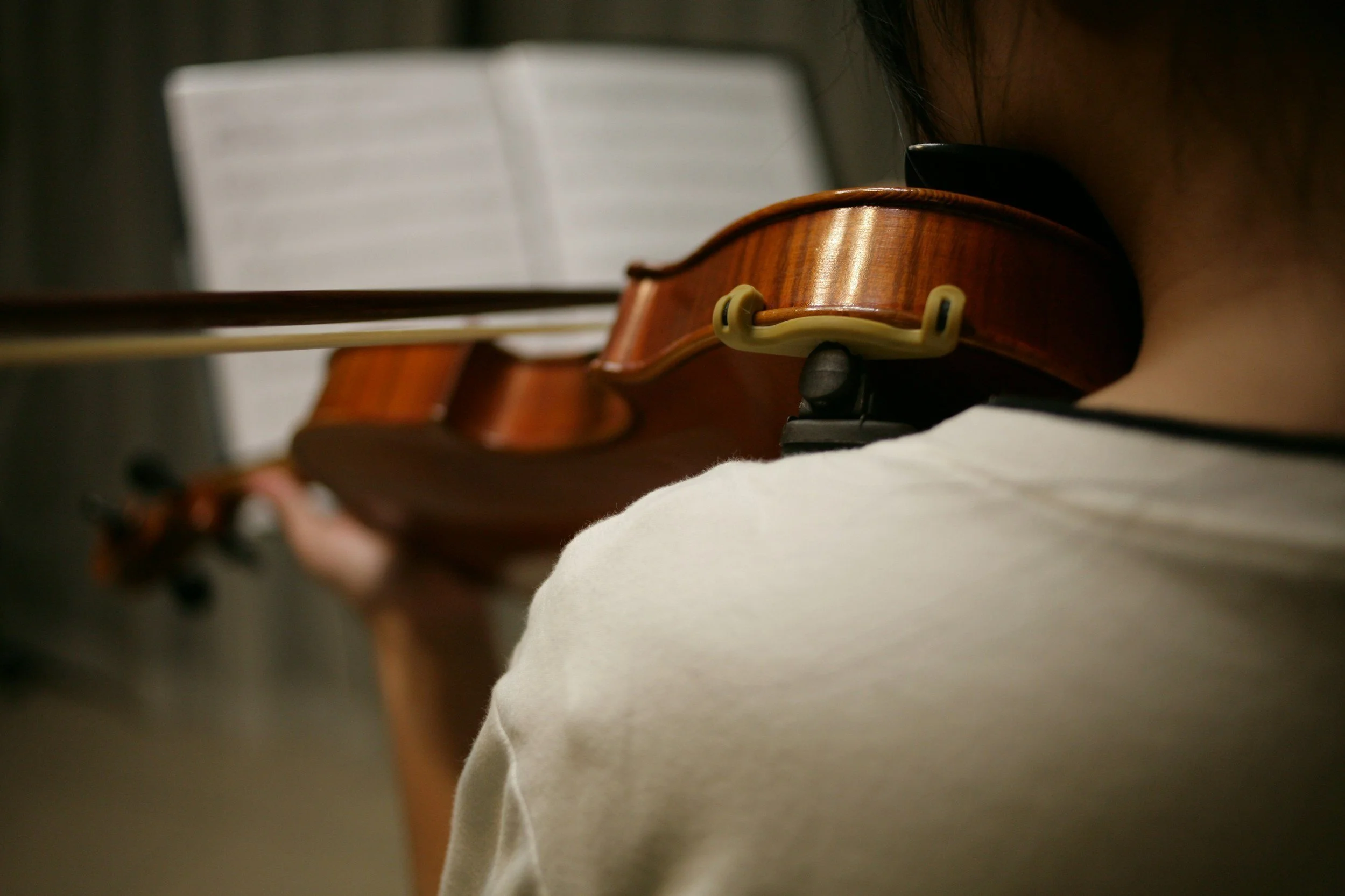 Lake Placid Sinfonietta | North Creek | July 24, 2025