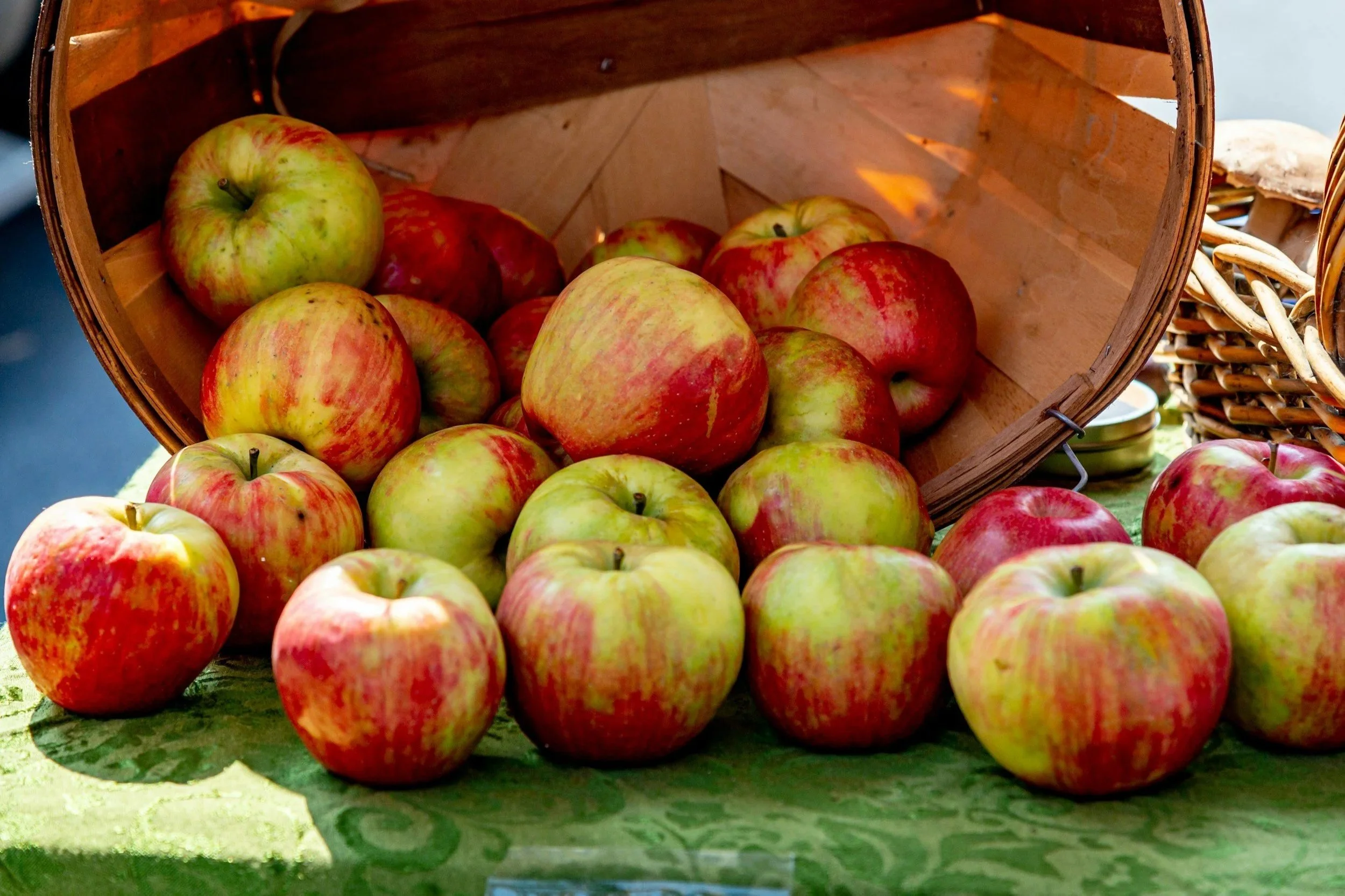 Apple Festival | Warrensburgh | September 12, 2025