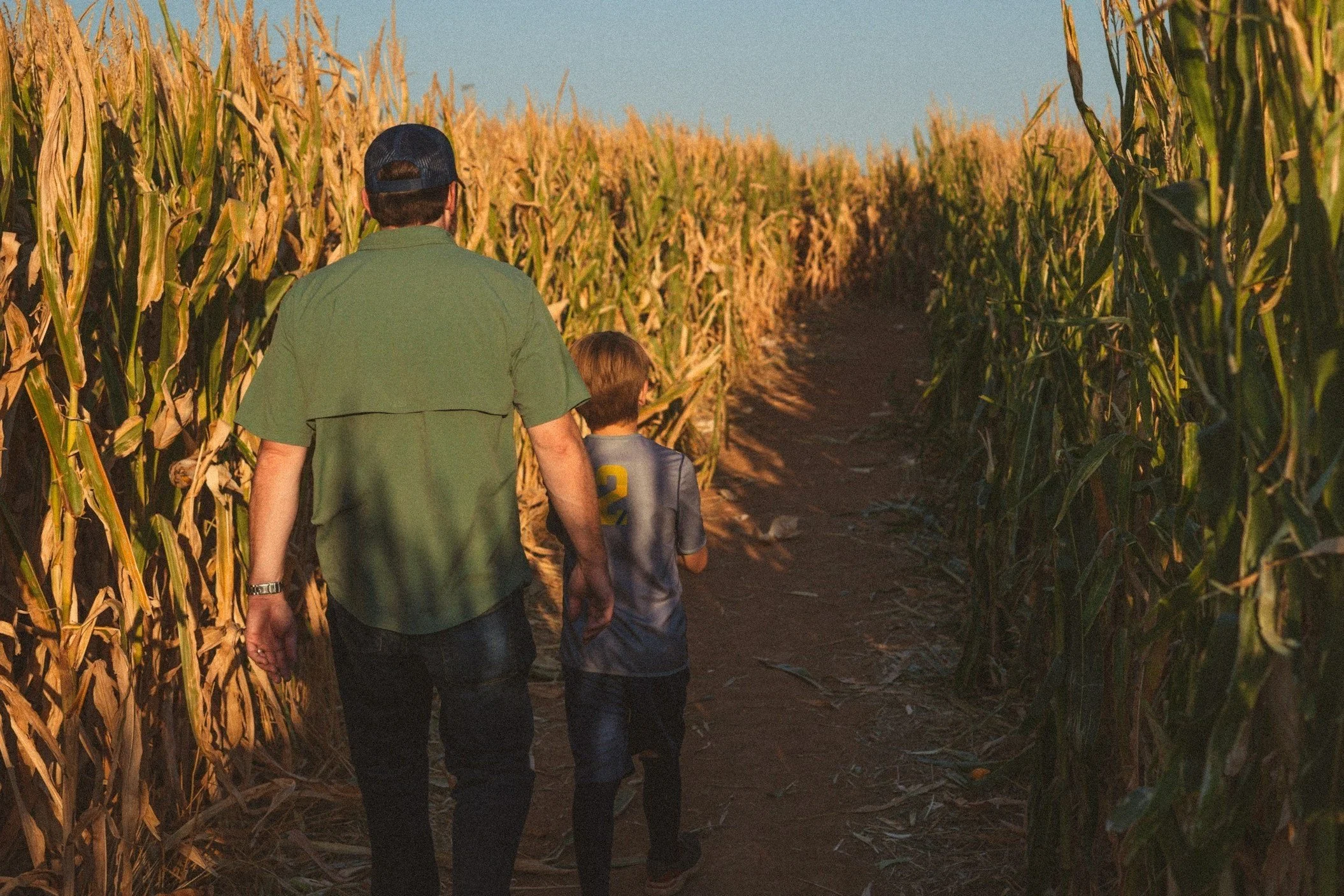 Haunted Corn Maze | Schuylerville, NY | Friday and Saturday | October 3-31, 2025