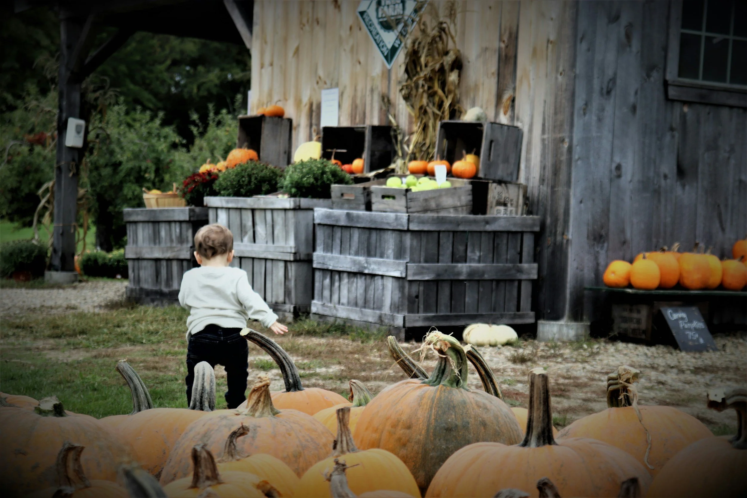 Fall events in the Adirondacks.
