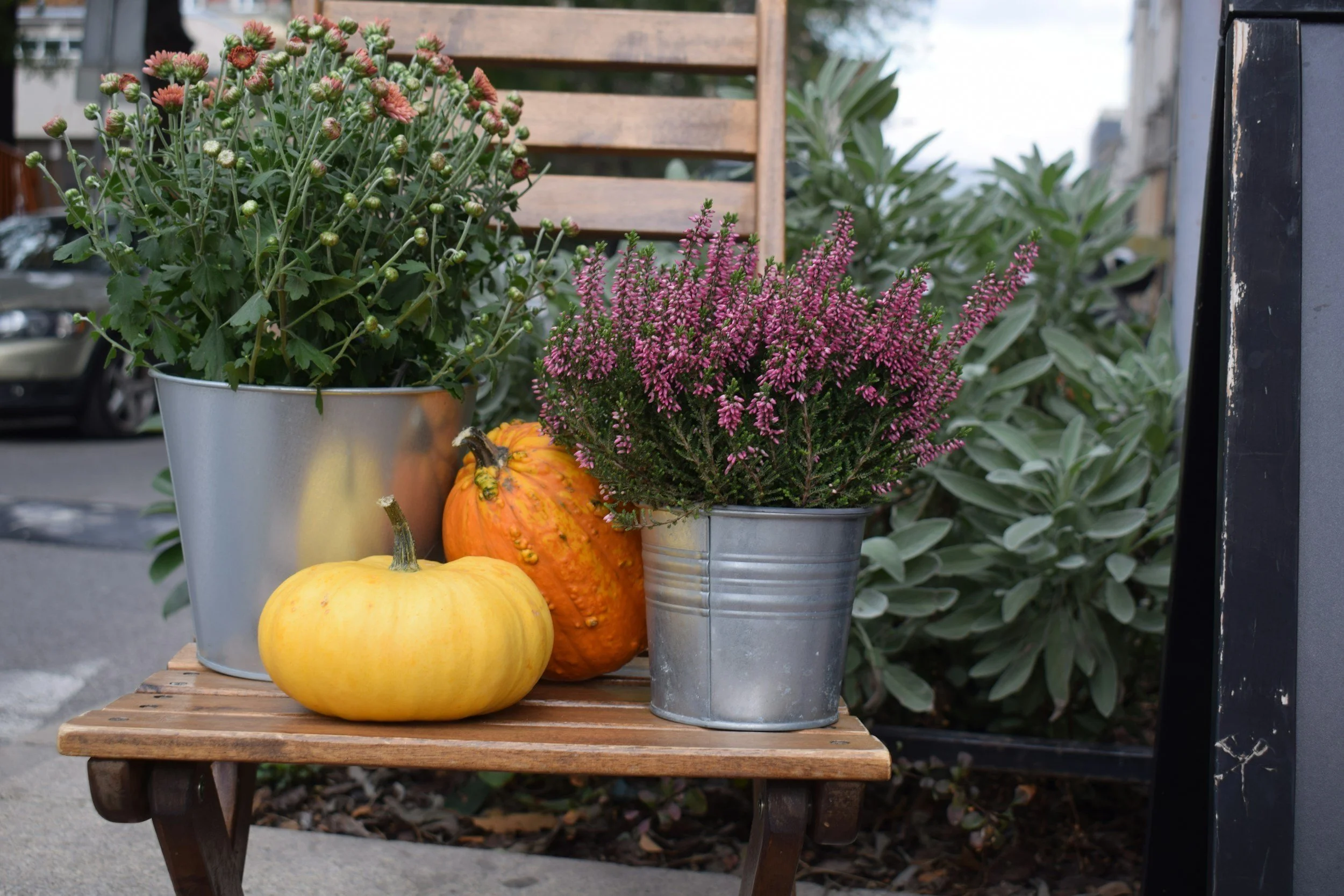 Harvest Festival and Farm Tour | Thurman | October 11-12, 2025