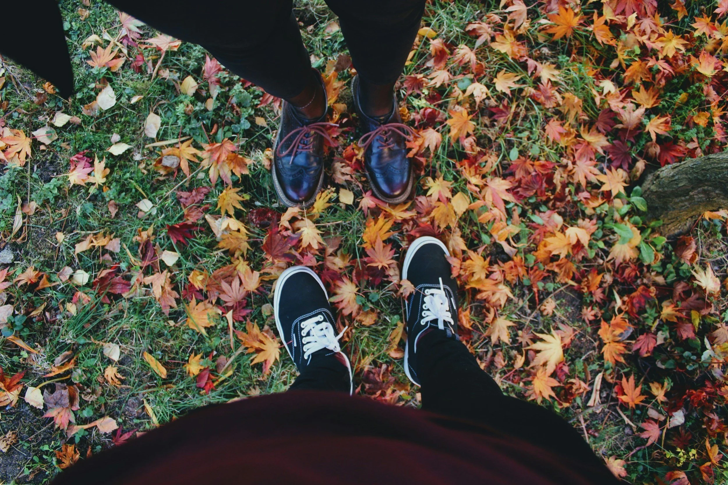 Fireside Folk Festival | Ticonderoga | October 24, 2025