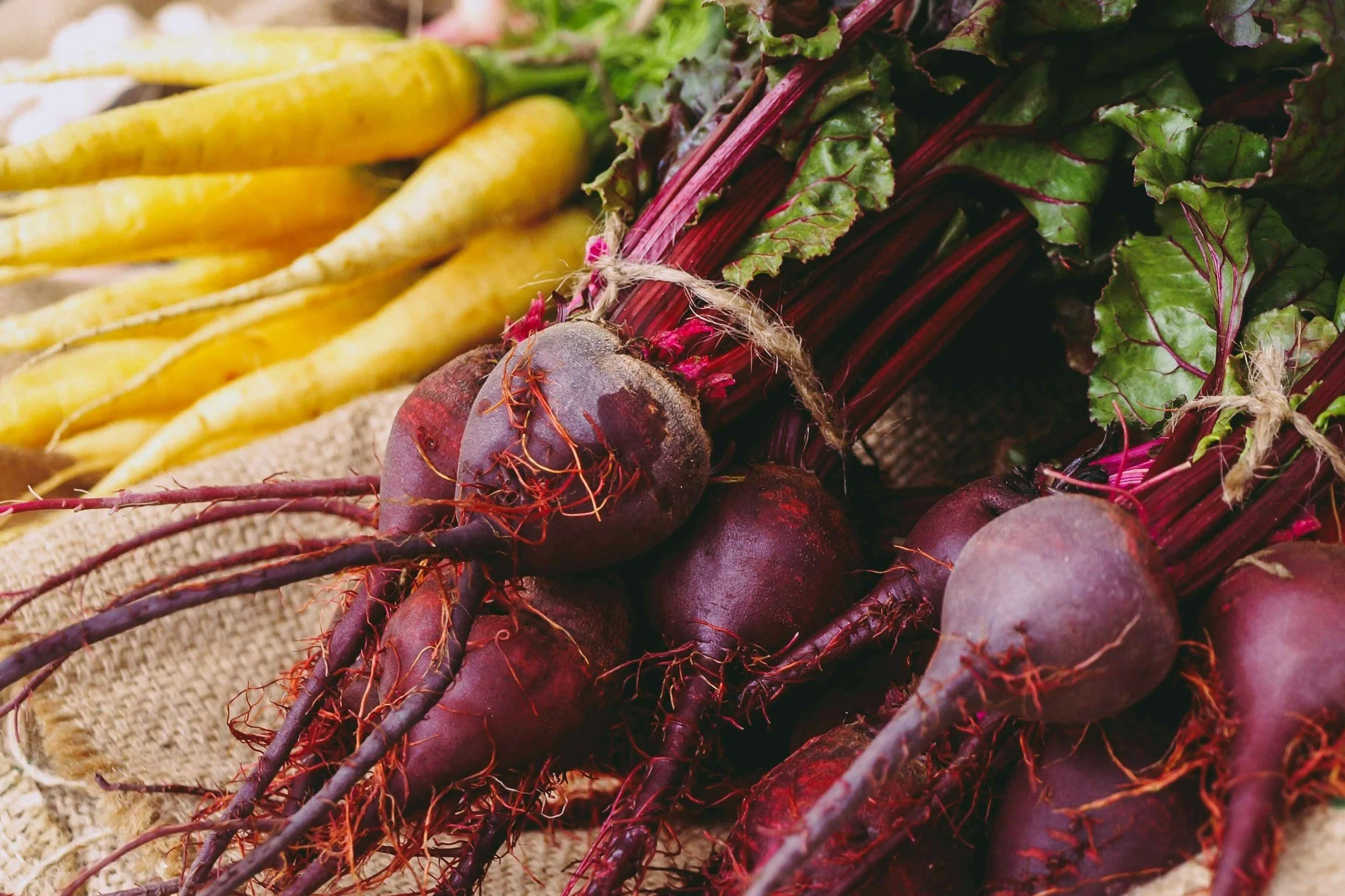 Saranac Lake Winter Farmers Market | Hotel Saranac Lobby | November 1, 2025