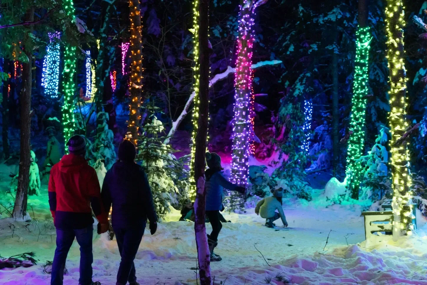Wild Lights | The Wild Center | Tupper Lake | November 28, 2025 through February 21, 2026