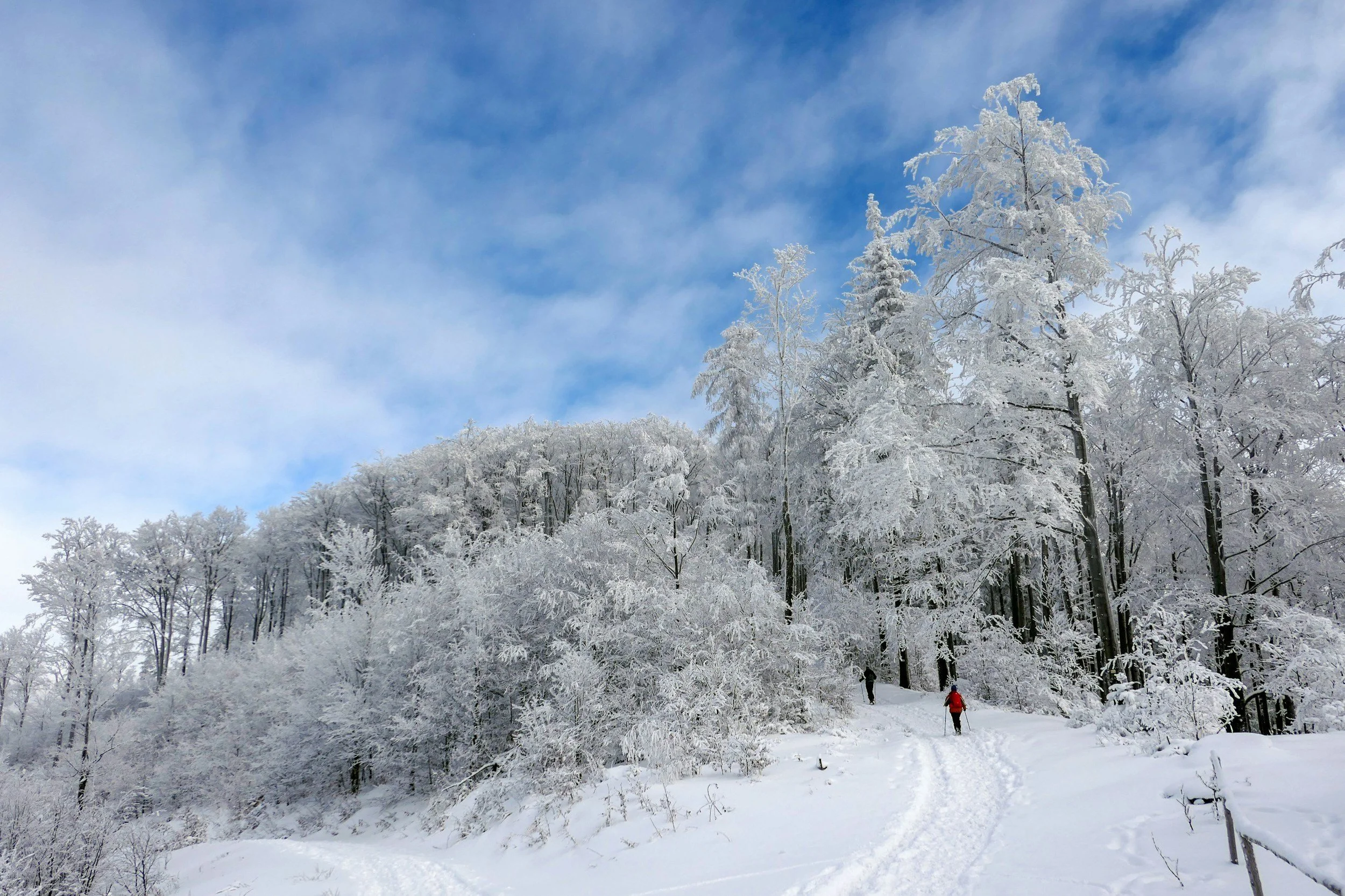 Adirondack Rail Trail First Day Hike | Saranac Lake | January 1, 2026