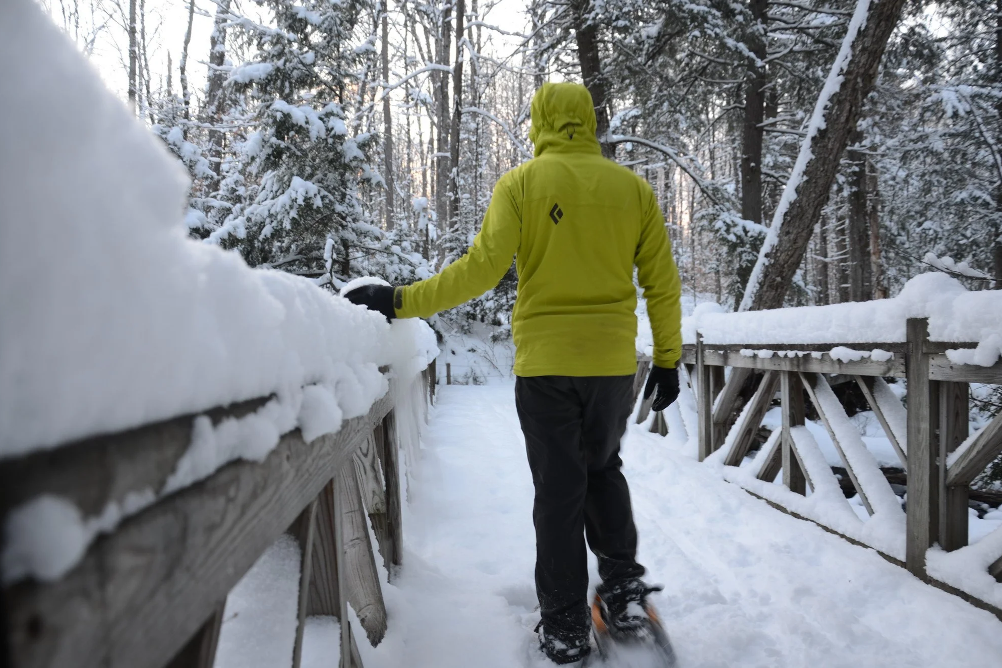 Paul Smith’s VIC First Day Hike | January 1, 2026